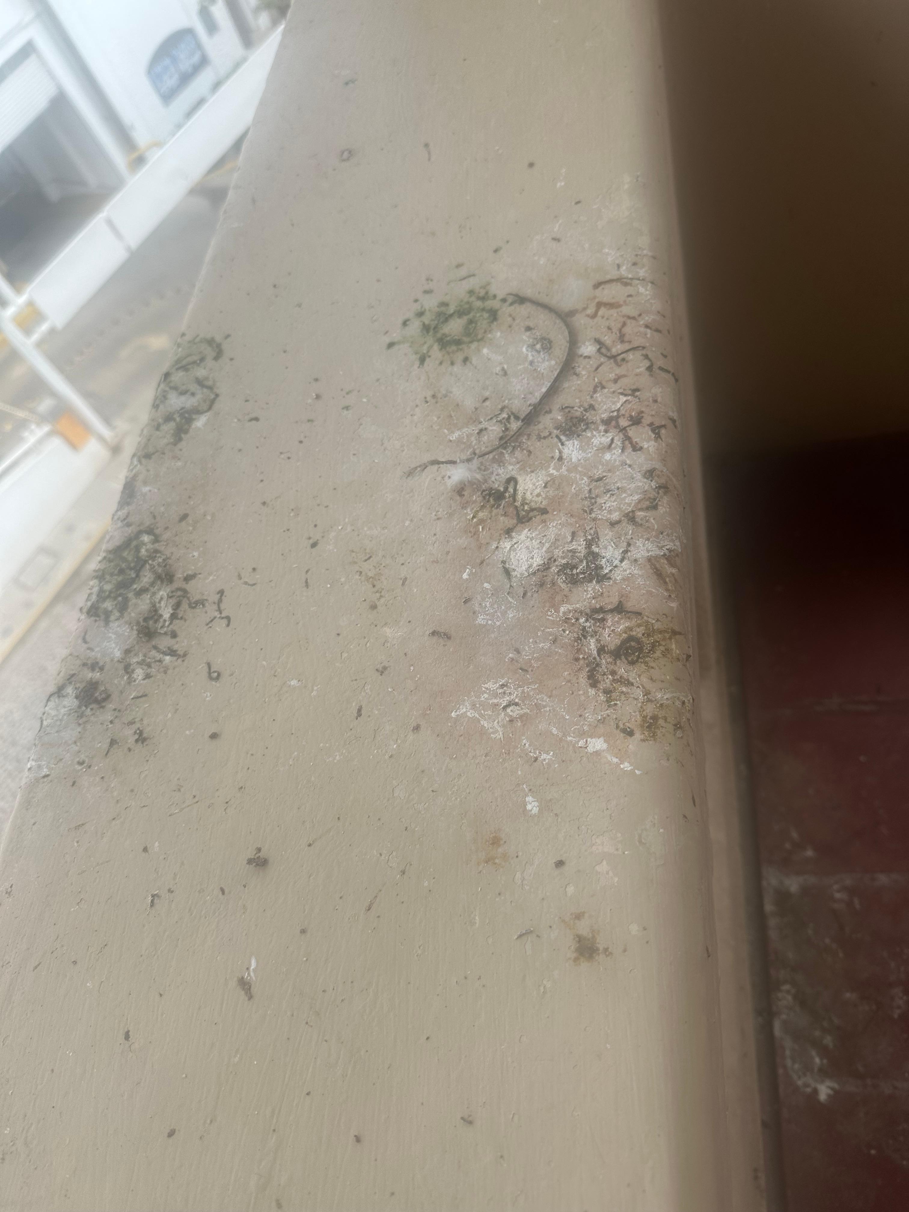 This was a picture of our deck that we were supposed to be able to enjoy. This is how it was when we arrived.