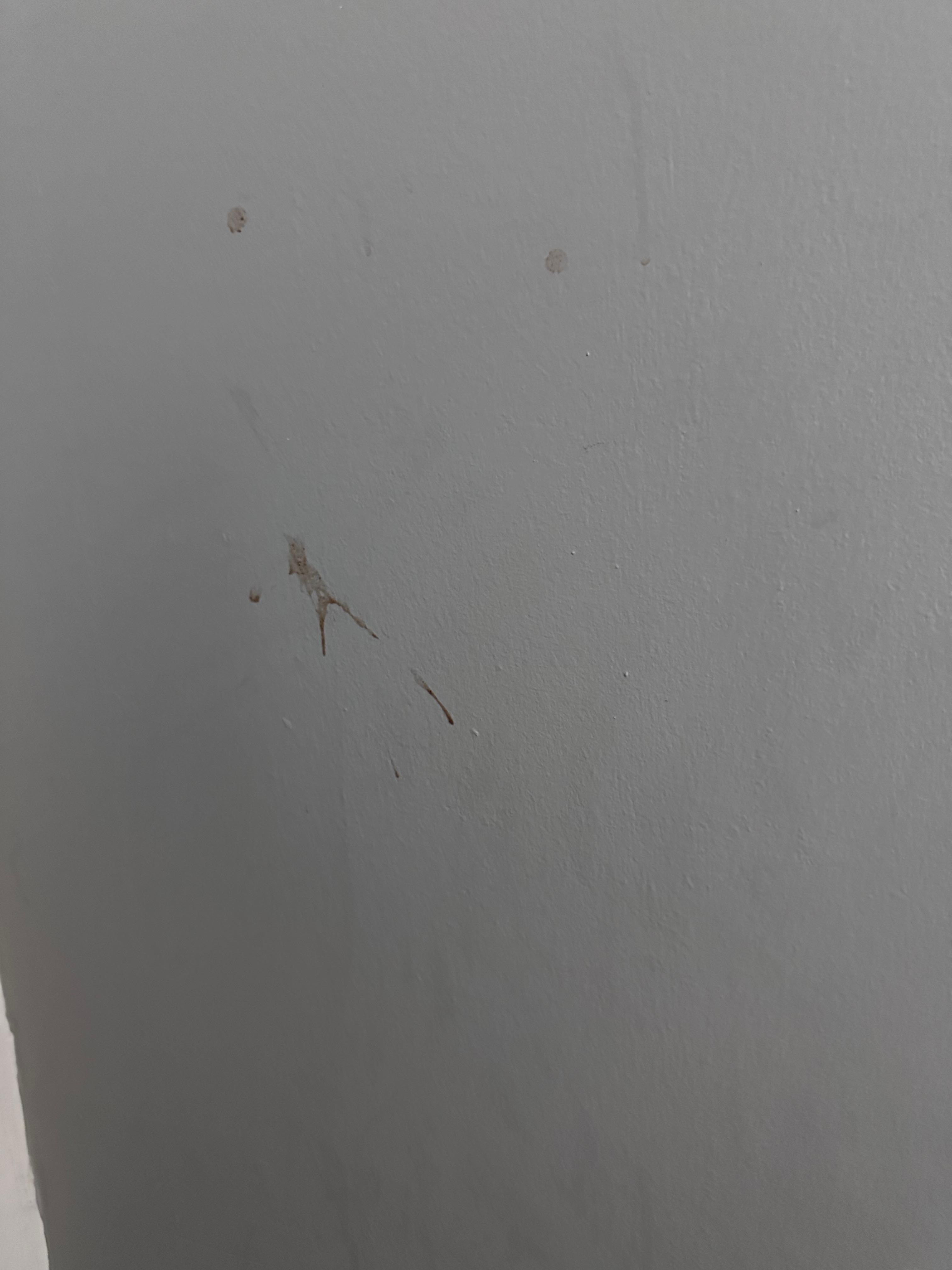 The wall next to my bed