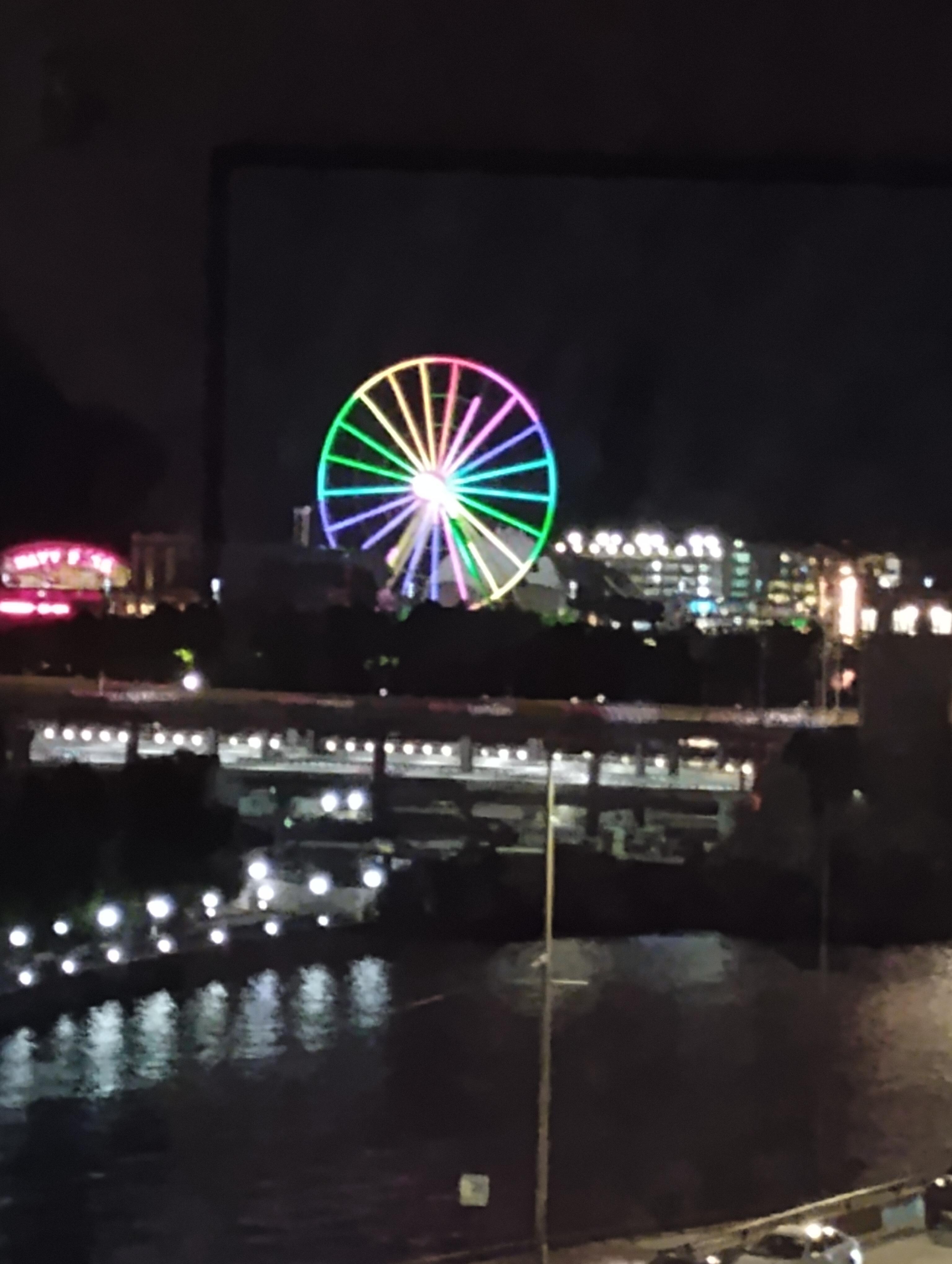 Navy Pier from our room.