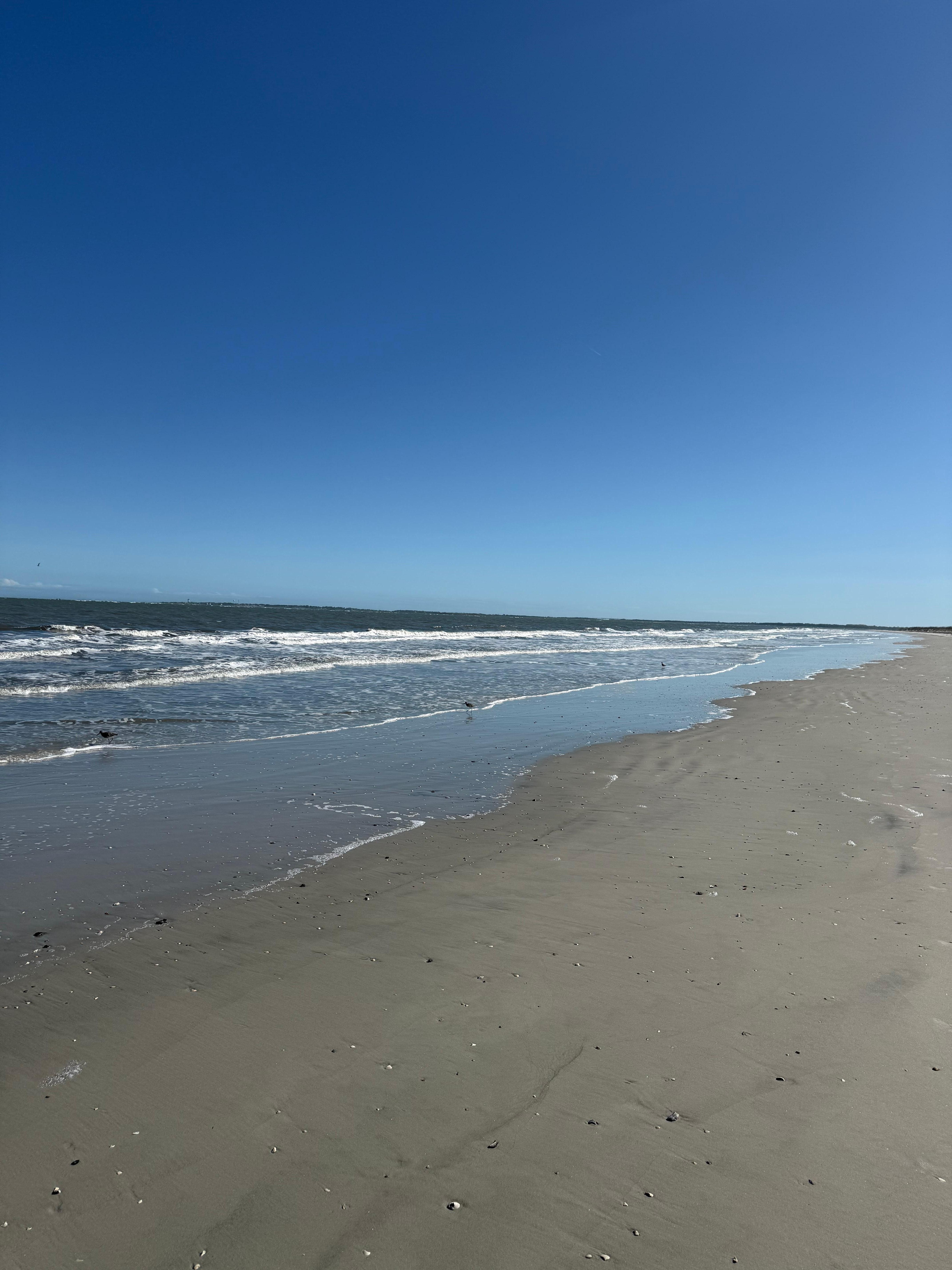 Beach during spring break.