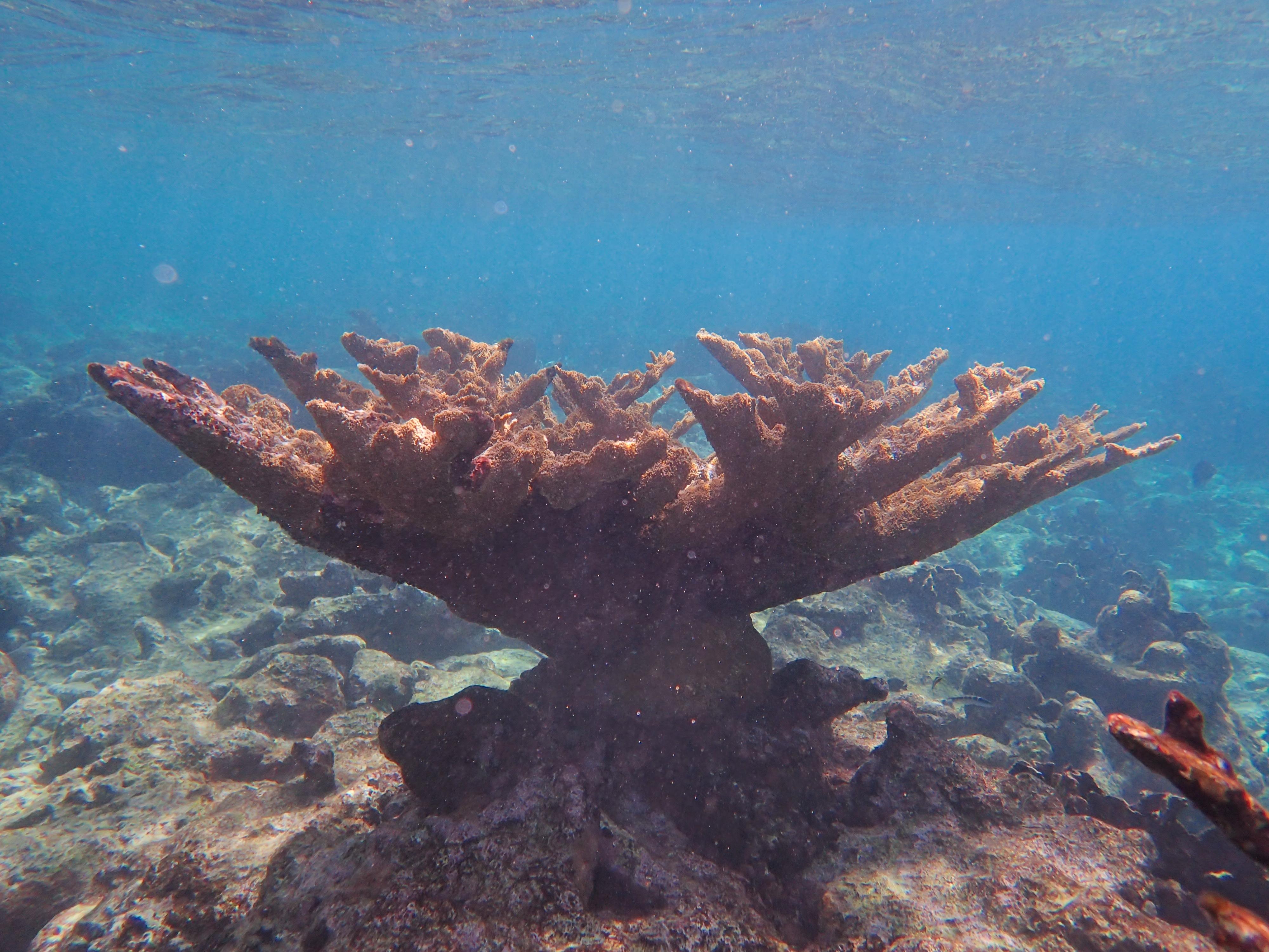 Backyard...about 50-100 feet from shore