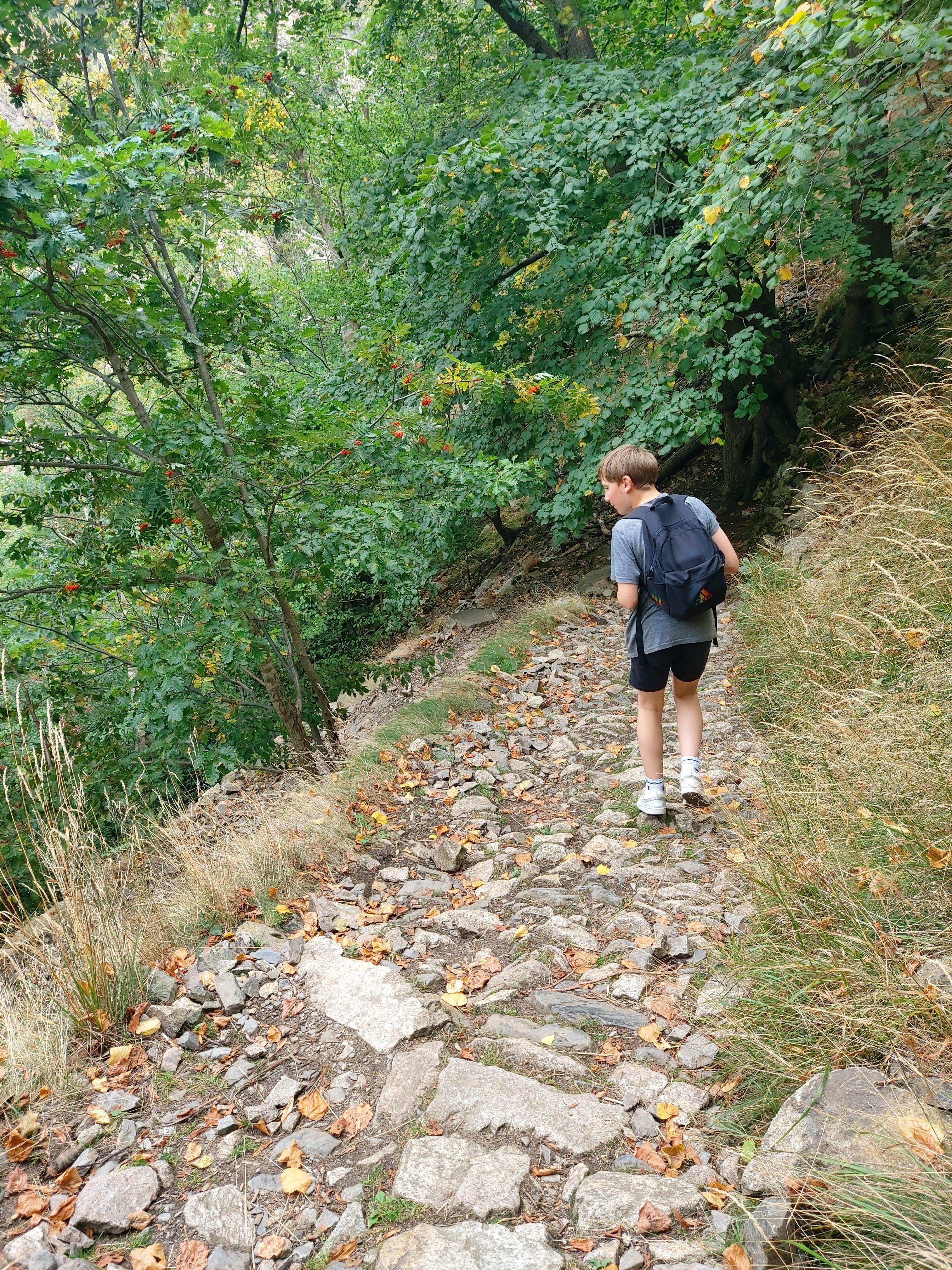 Das Bodetal in nächster Nähe 