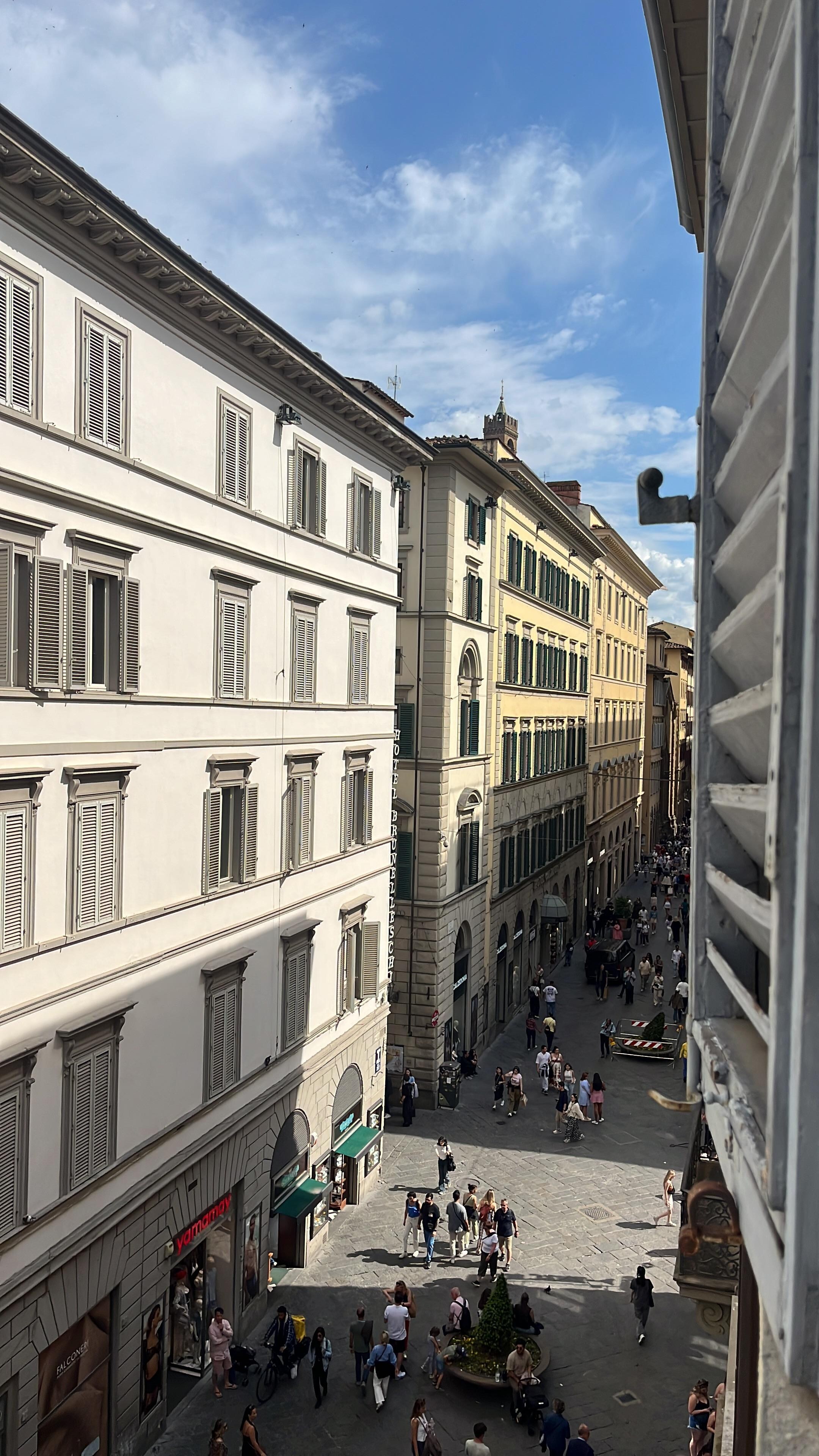 Views from our window