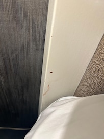 Blood
