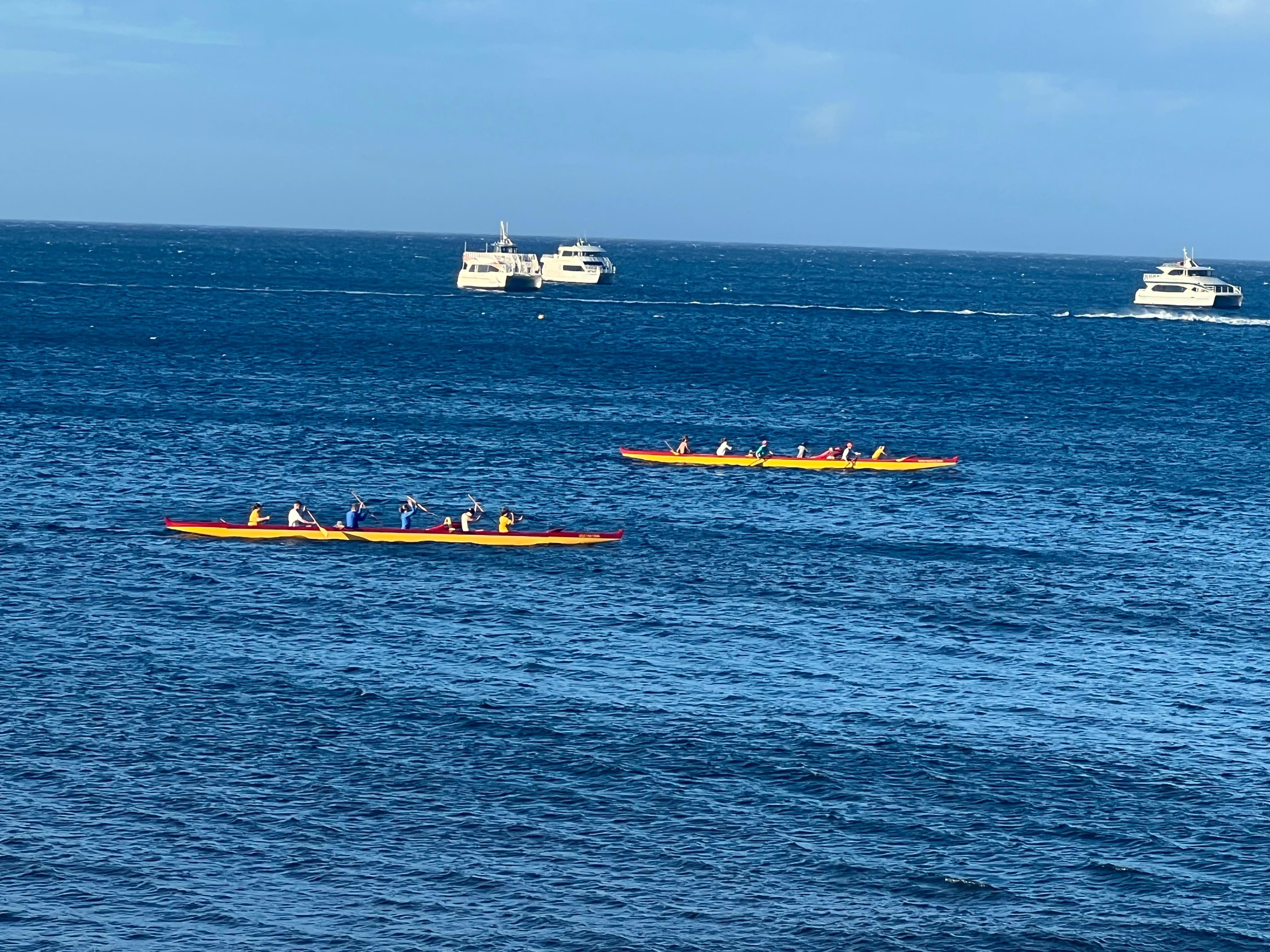 From our patio in the morning