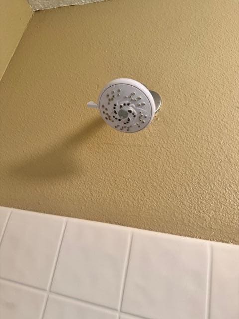 moldy showerhead