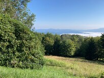 View from neighborhood