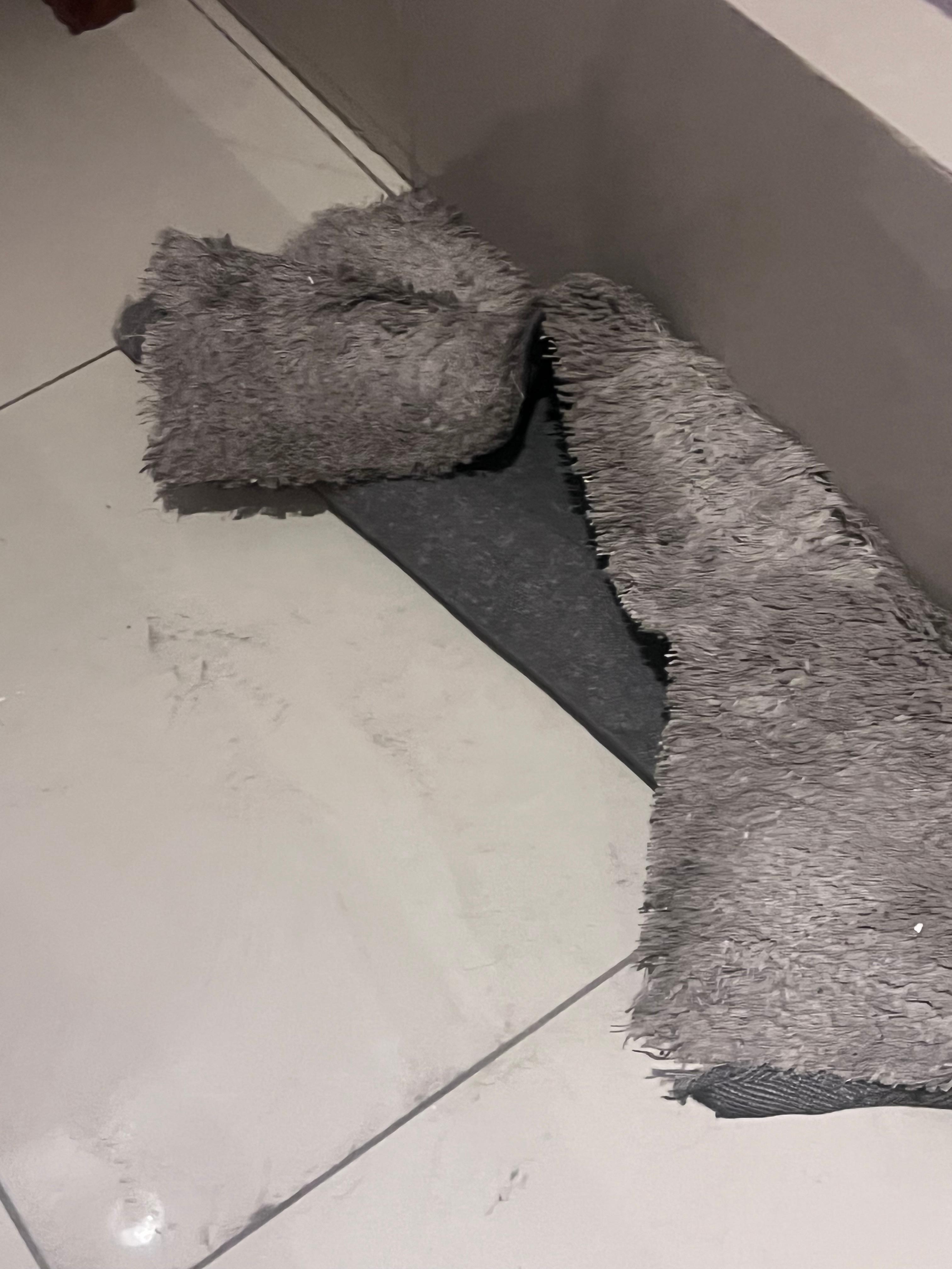 Alfombra muy sucia. llena de tierra.