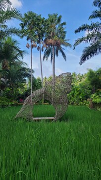 The beautiful grounds of the hotel.