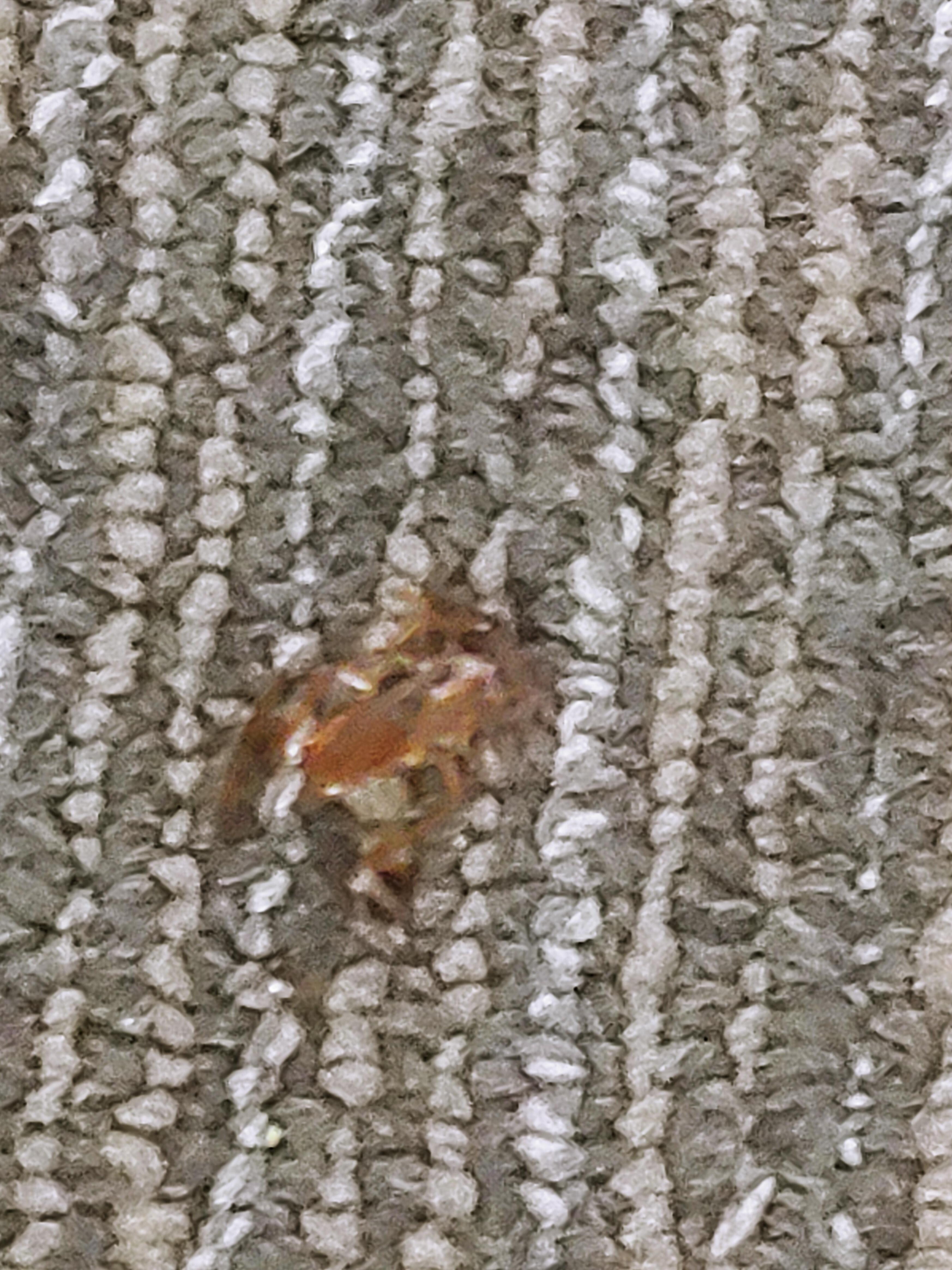 First room unit 416
Cickroaches