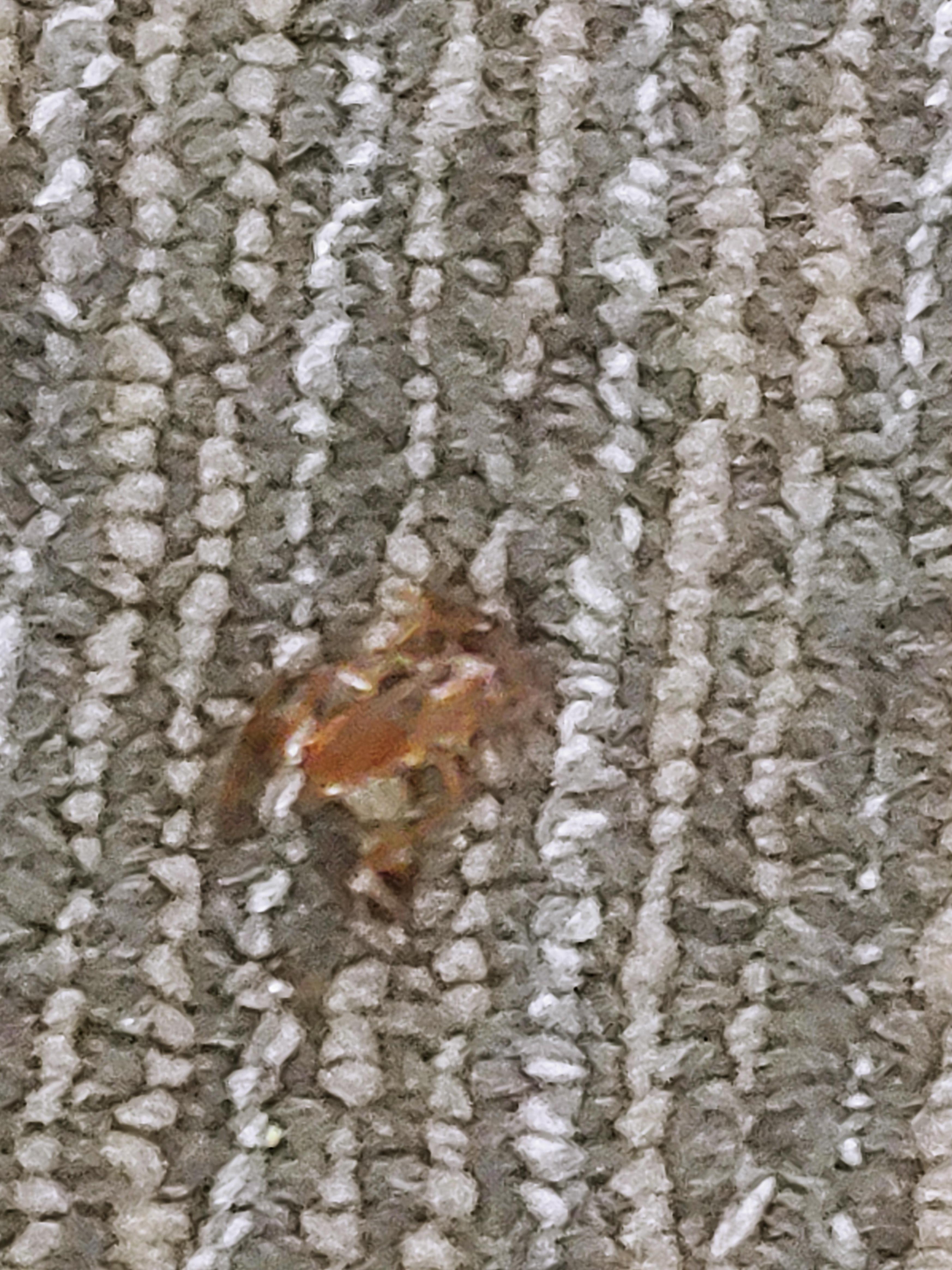 First room unit 416
Cickroaches