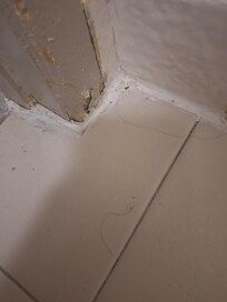 The "clean" bathroom