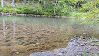 The River