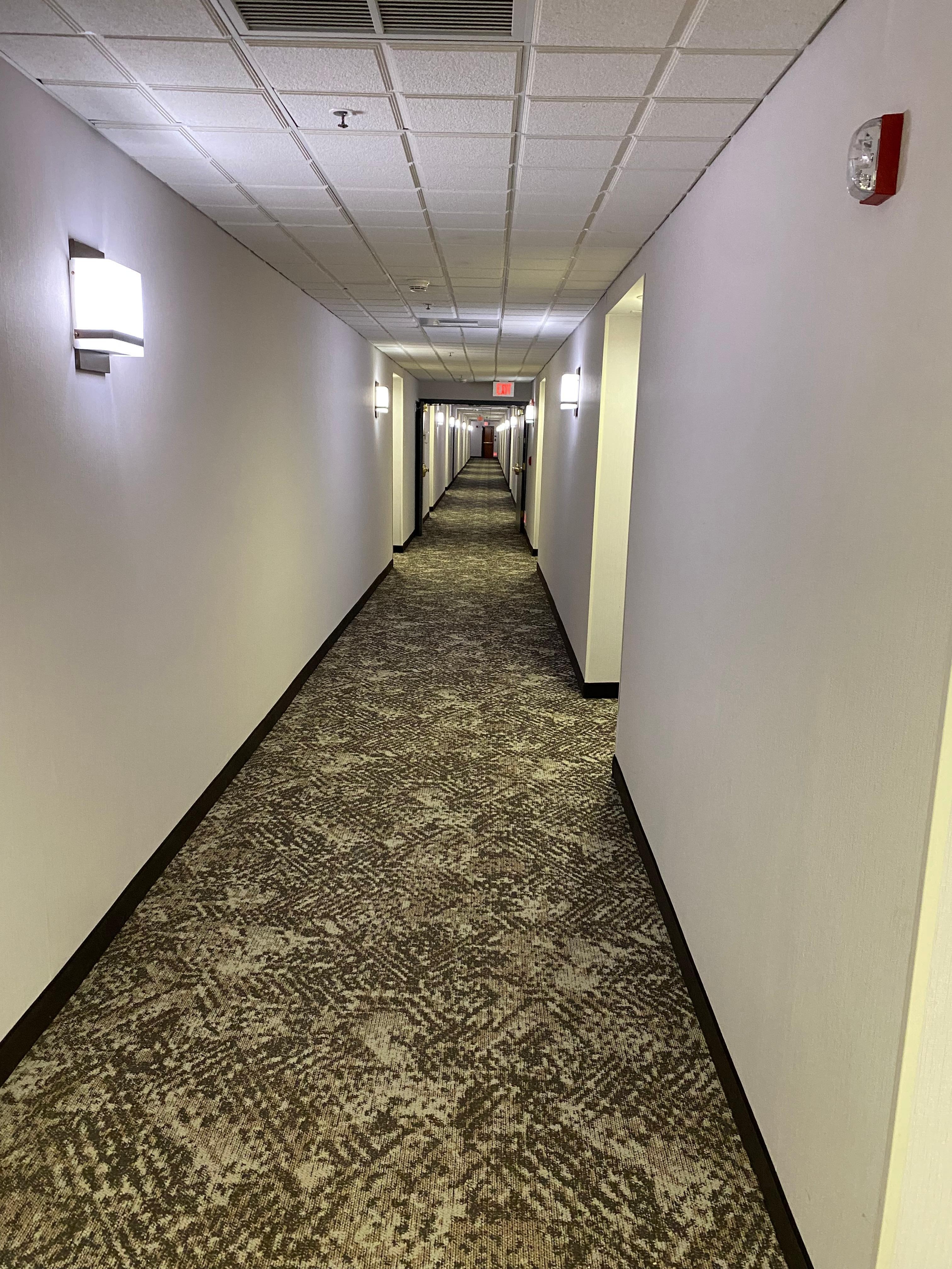 Love the Shining Hallway. 