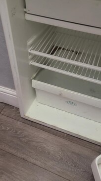 Mold on fridge shelf.