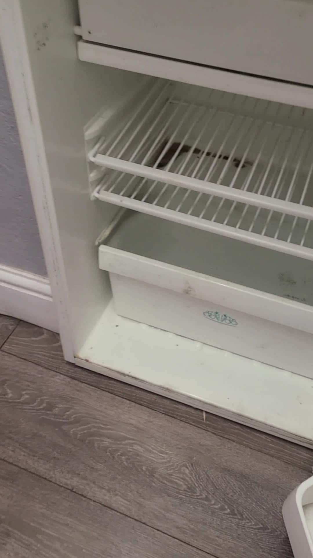 Mold on fridge shelf.