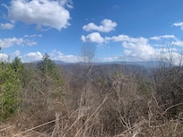 Top of the hike that’s available from the house