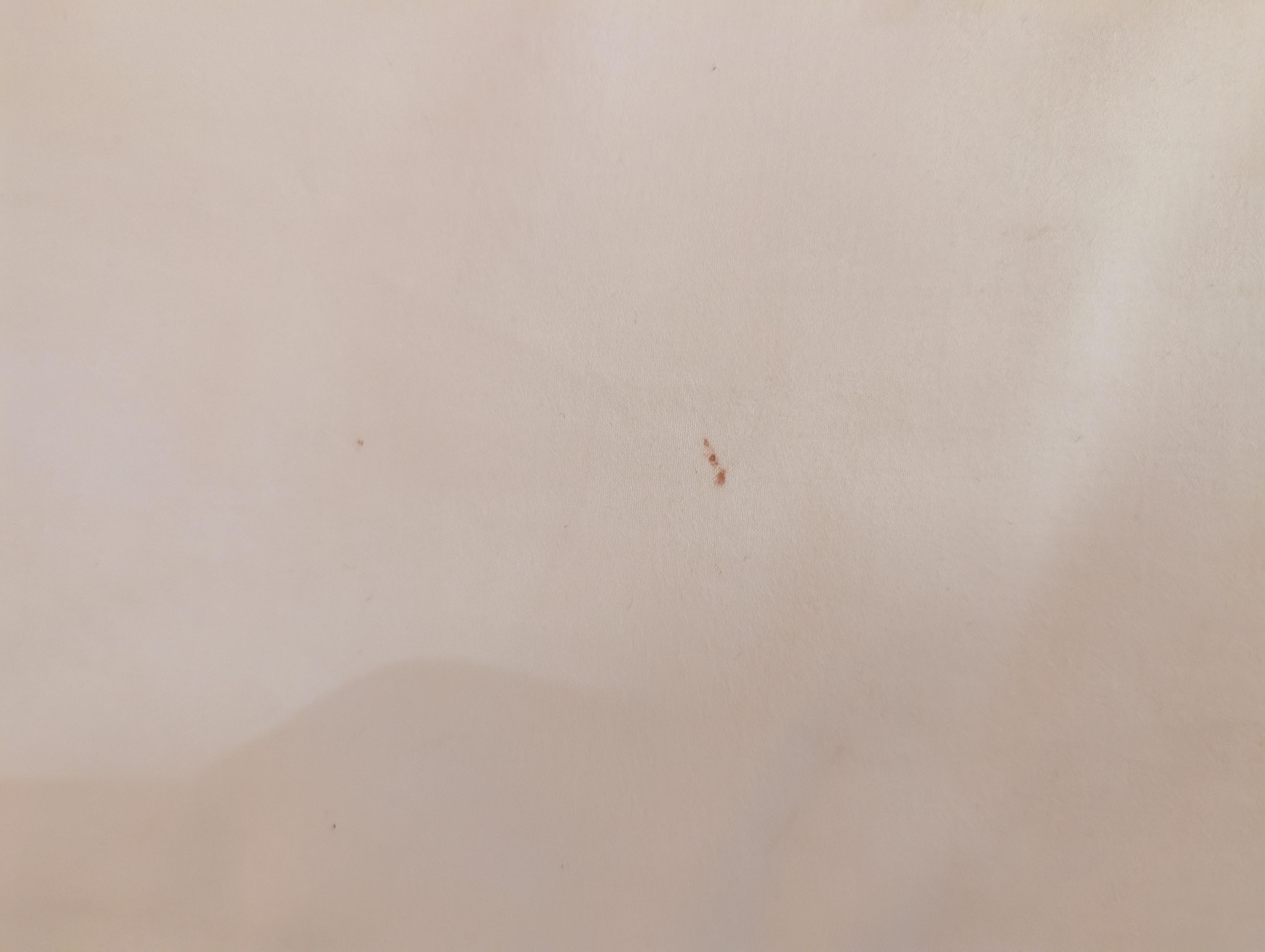 blood stain on bed sheet