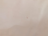 blood stain on bed sheet