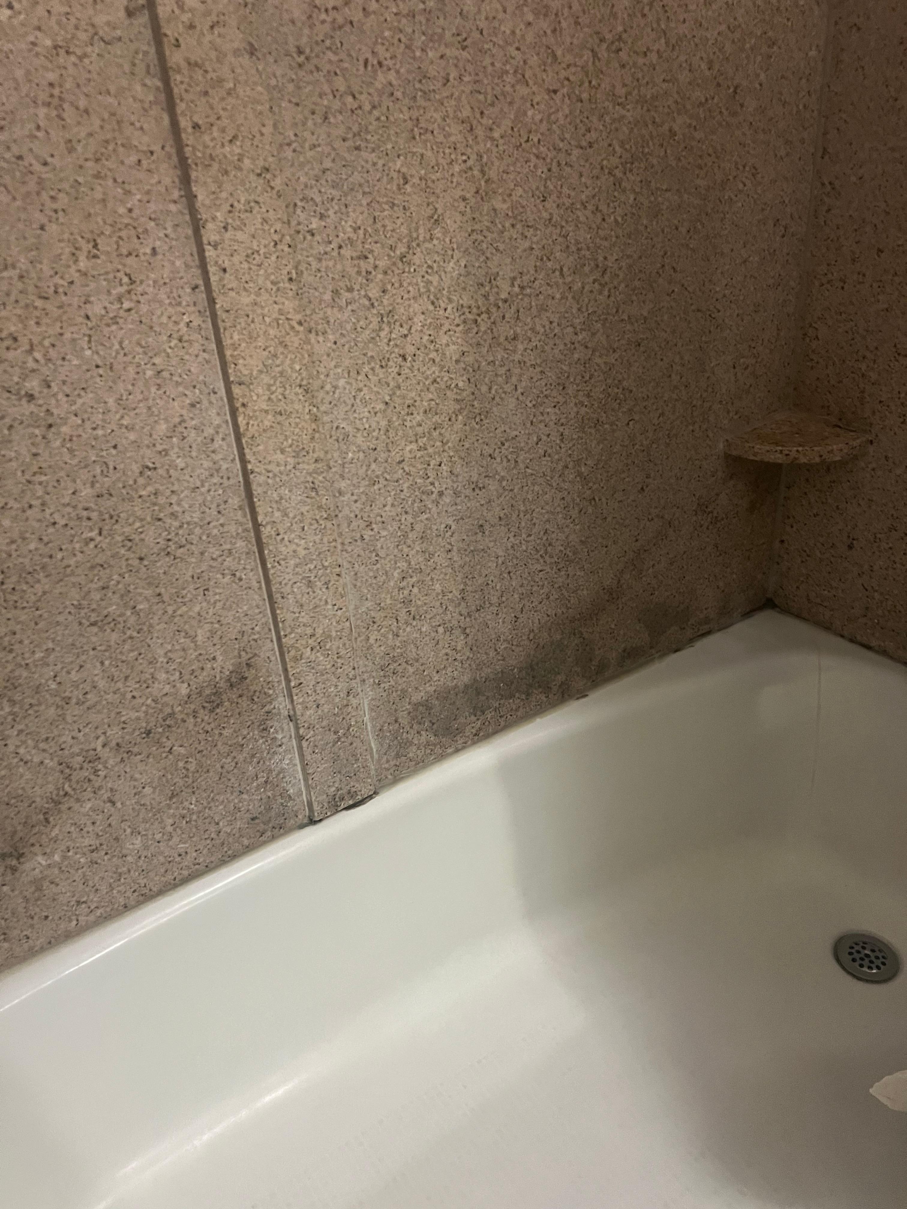 Mold/water damage