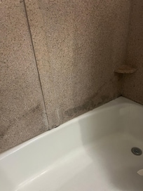 Mold/water damage