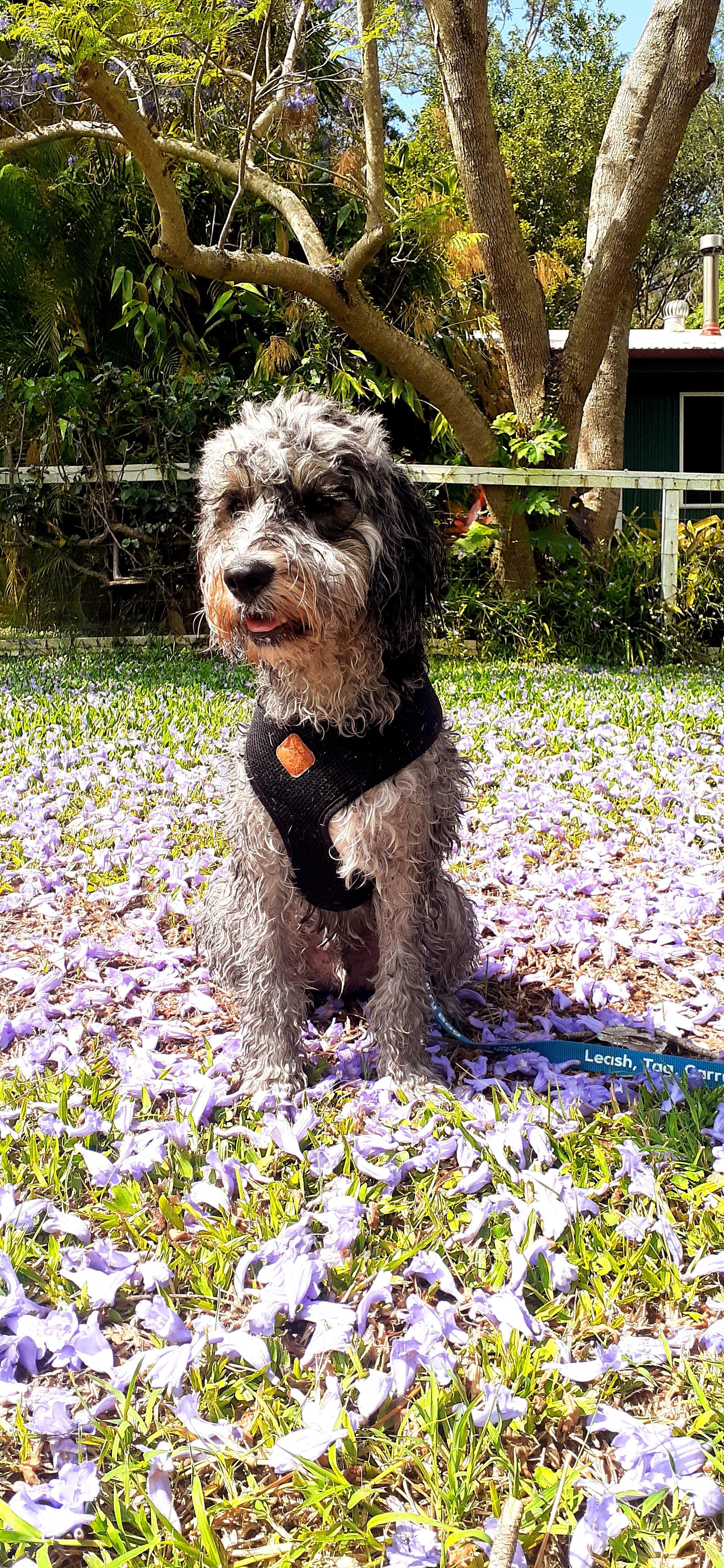 Beautiful outlook from the property.