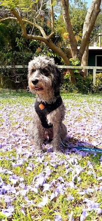 Beautiful outlook from the property.