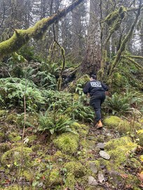 The climb up to the house returning from the river