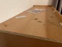 Mold falling off from the ceiling