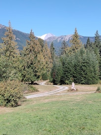 View from the front porch!