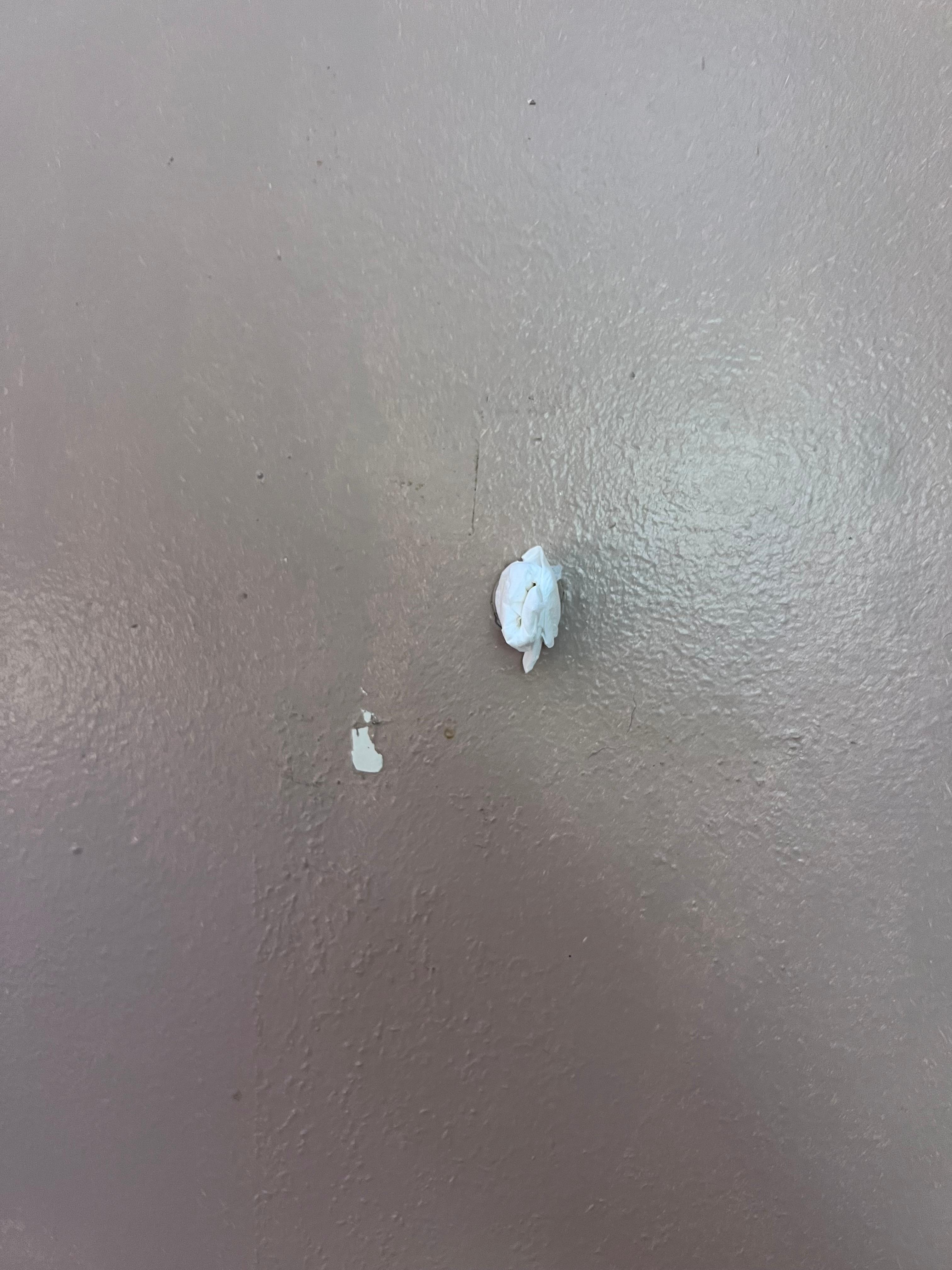 Toilet paper shoved into the peep hole.