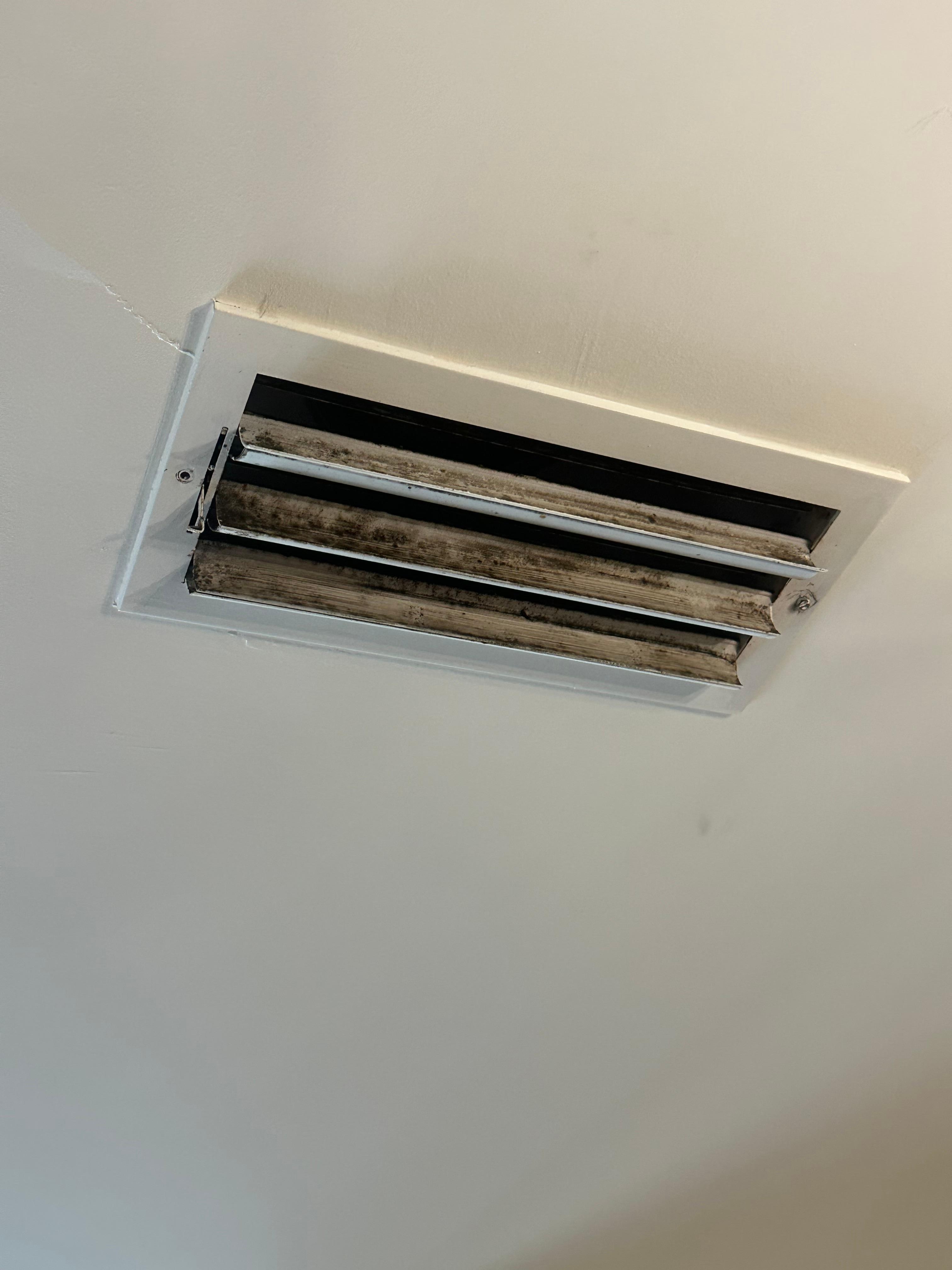 Dirty vent with mold