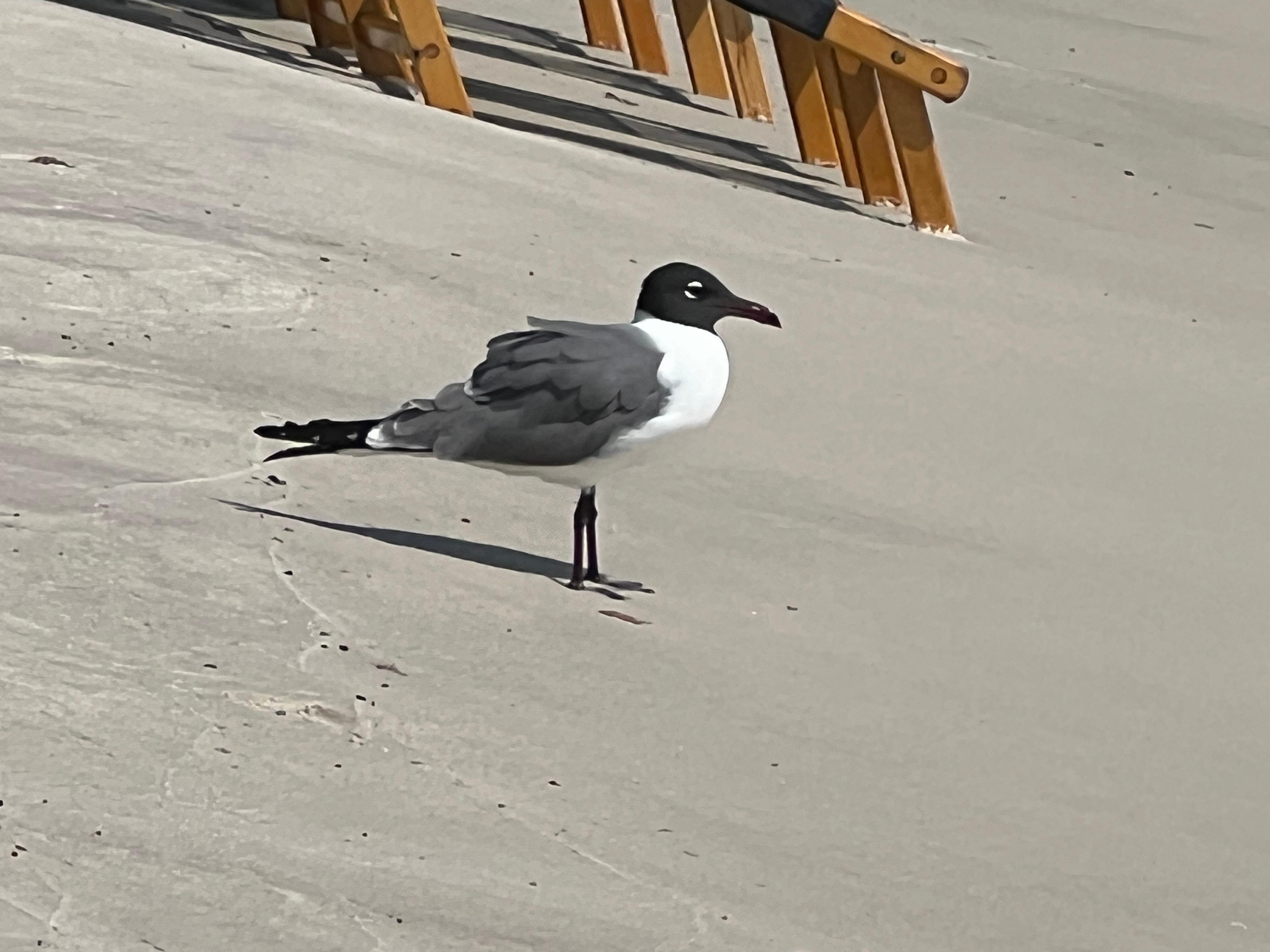 Beach was not crowded 