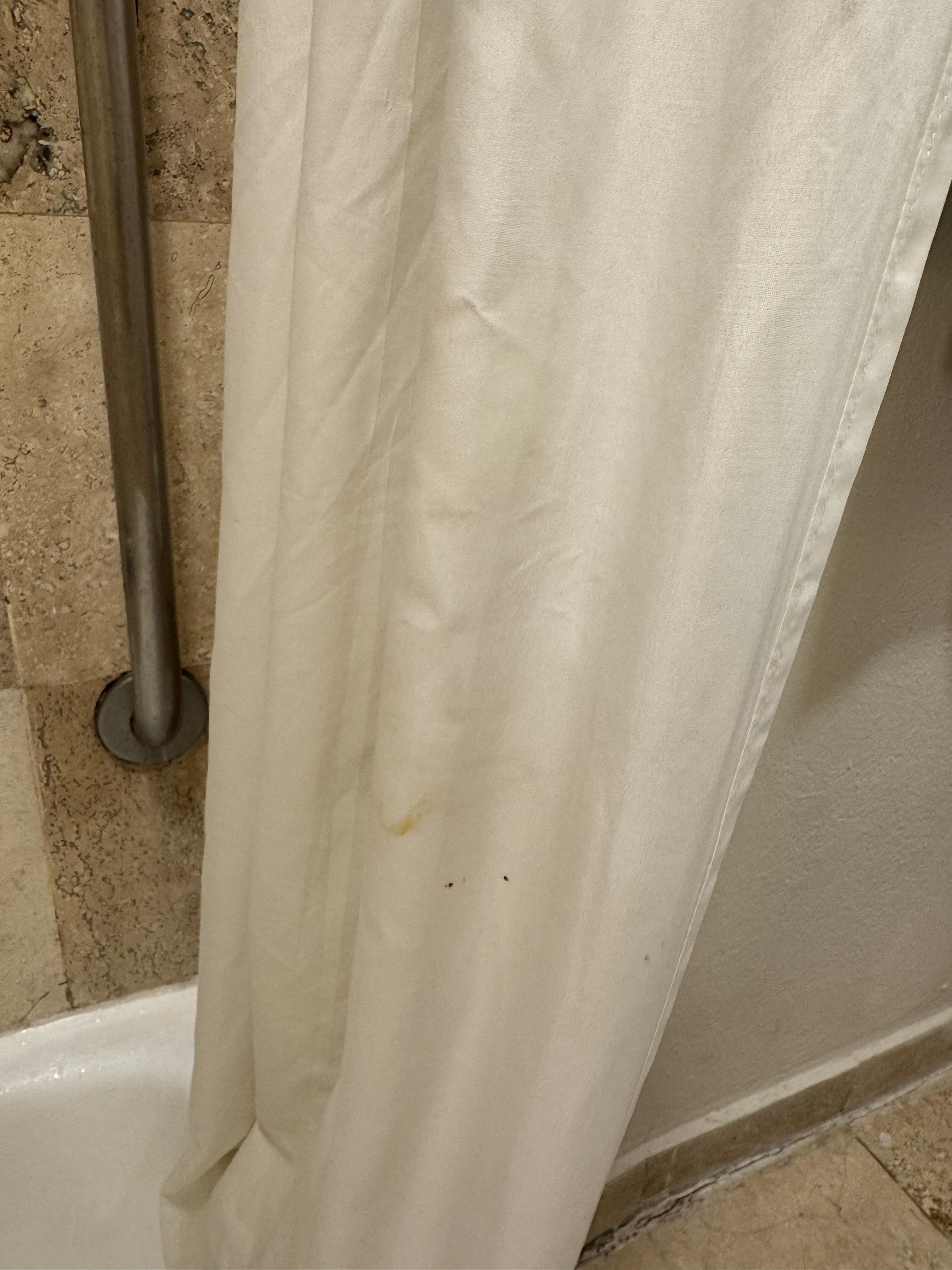 Uncleaned shower curtain
