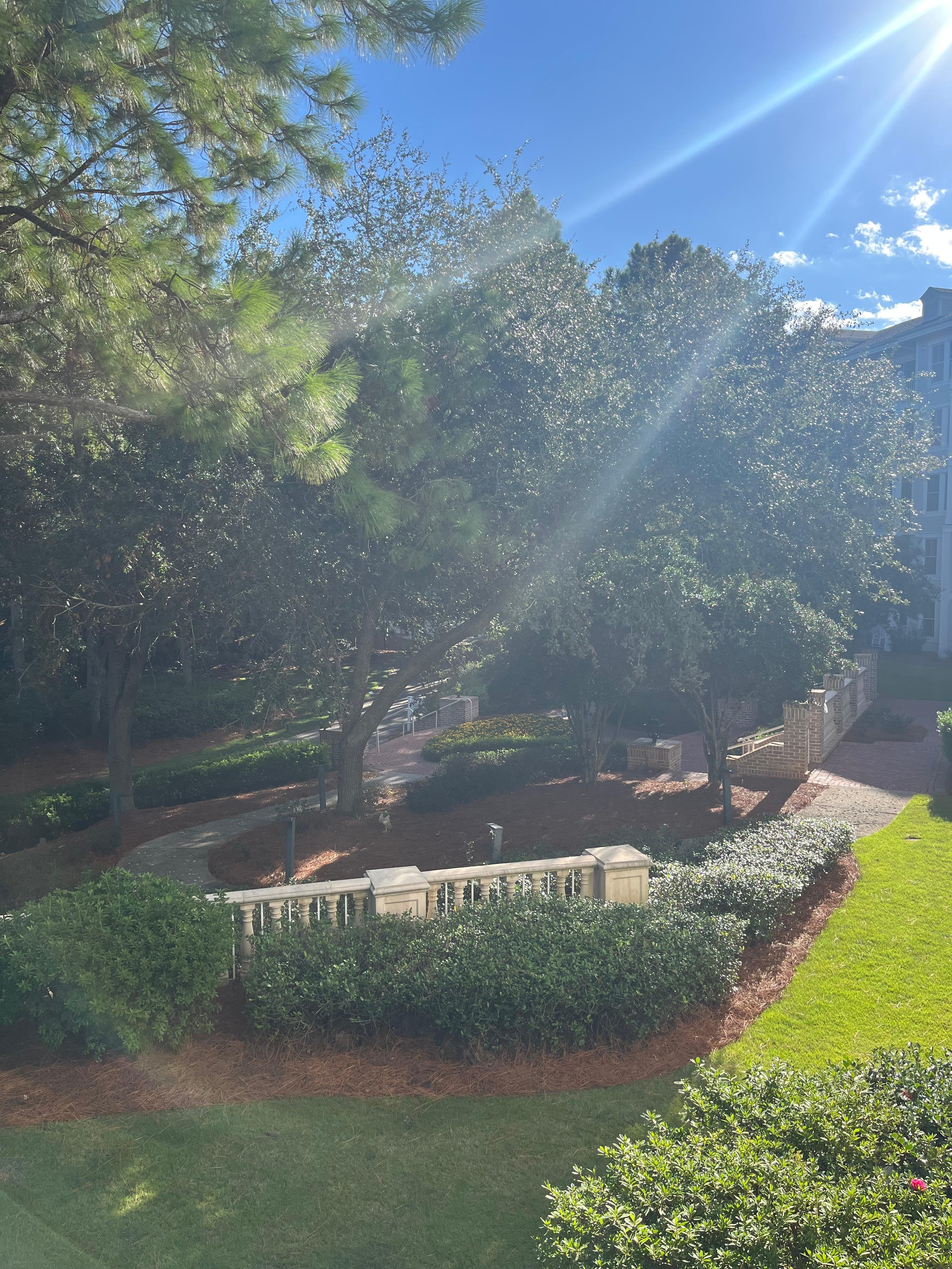 Courtyard view from balcony 