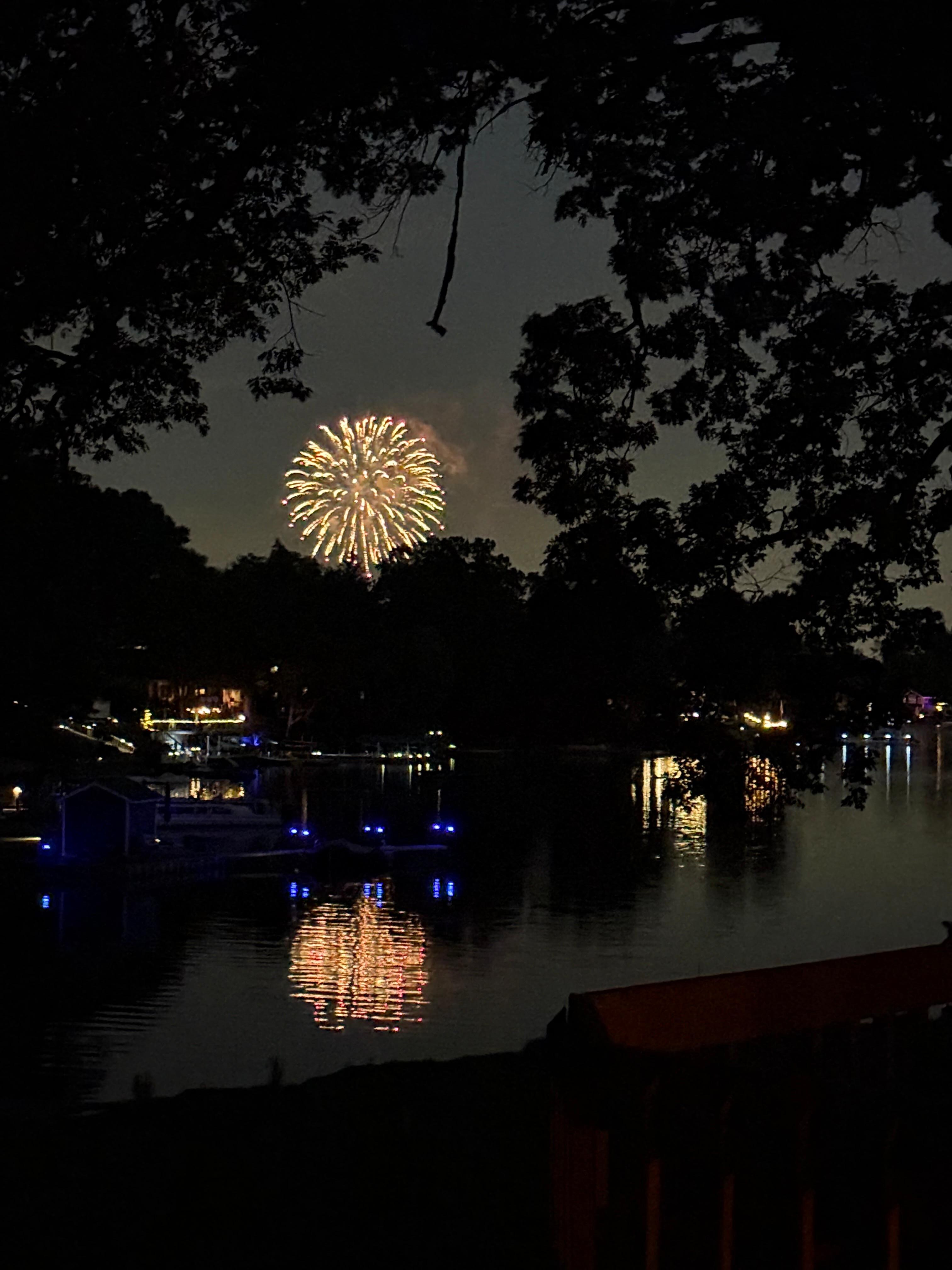 Awesome fireworks  as seen thru trees perfectly 