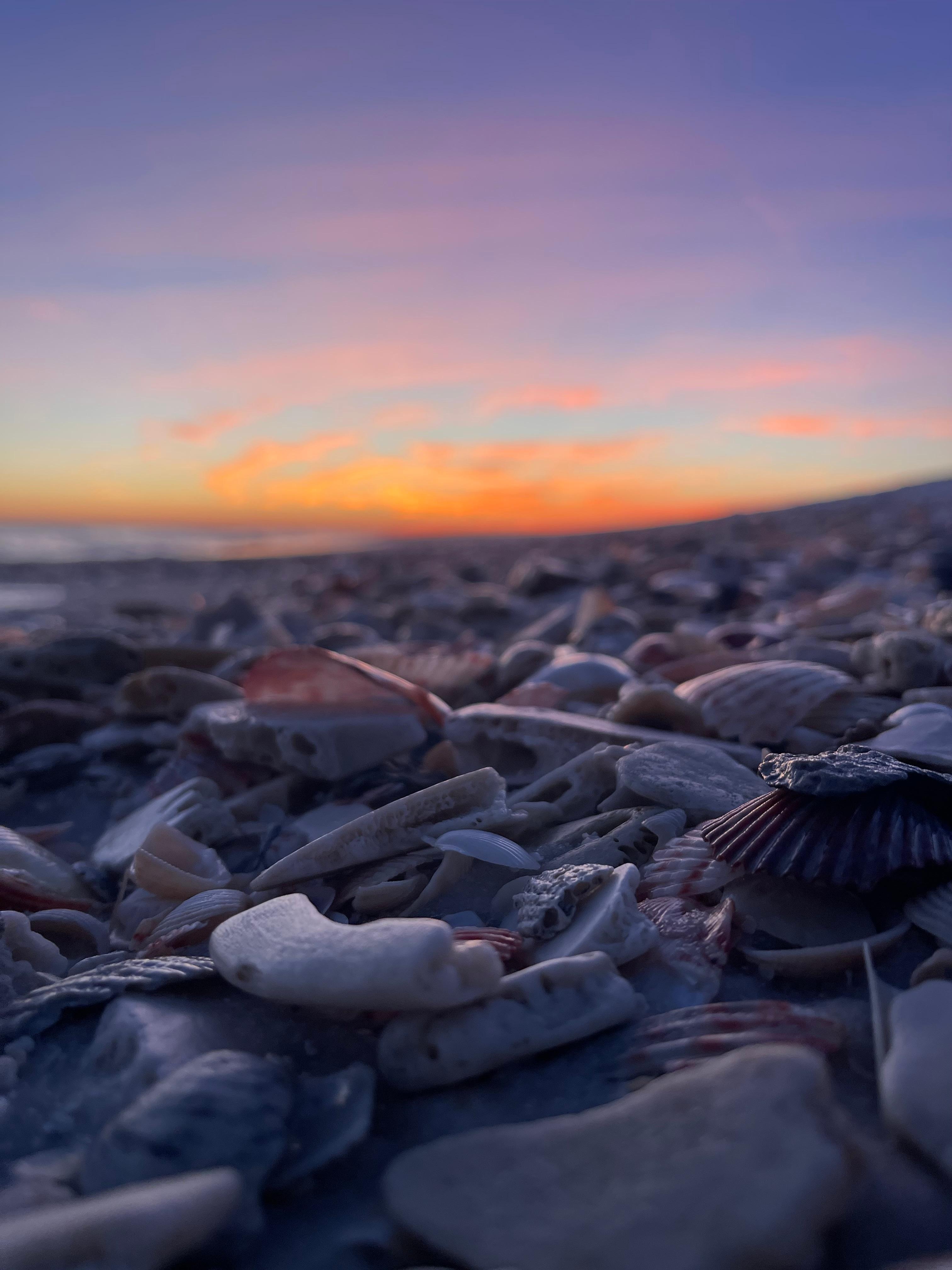 Sunset with shells🐚 