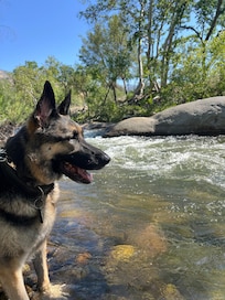 Lala loved the river ❤️