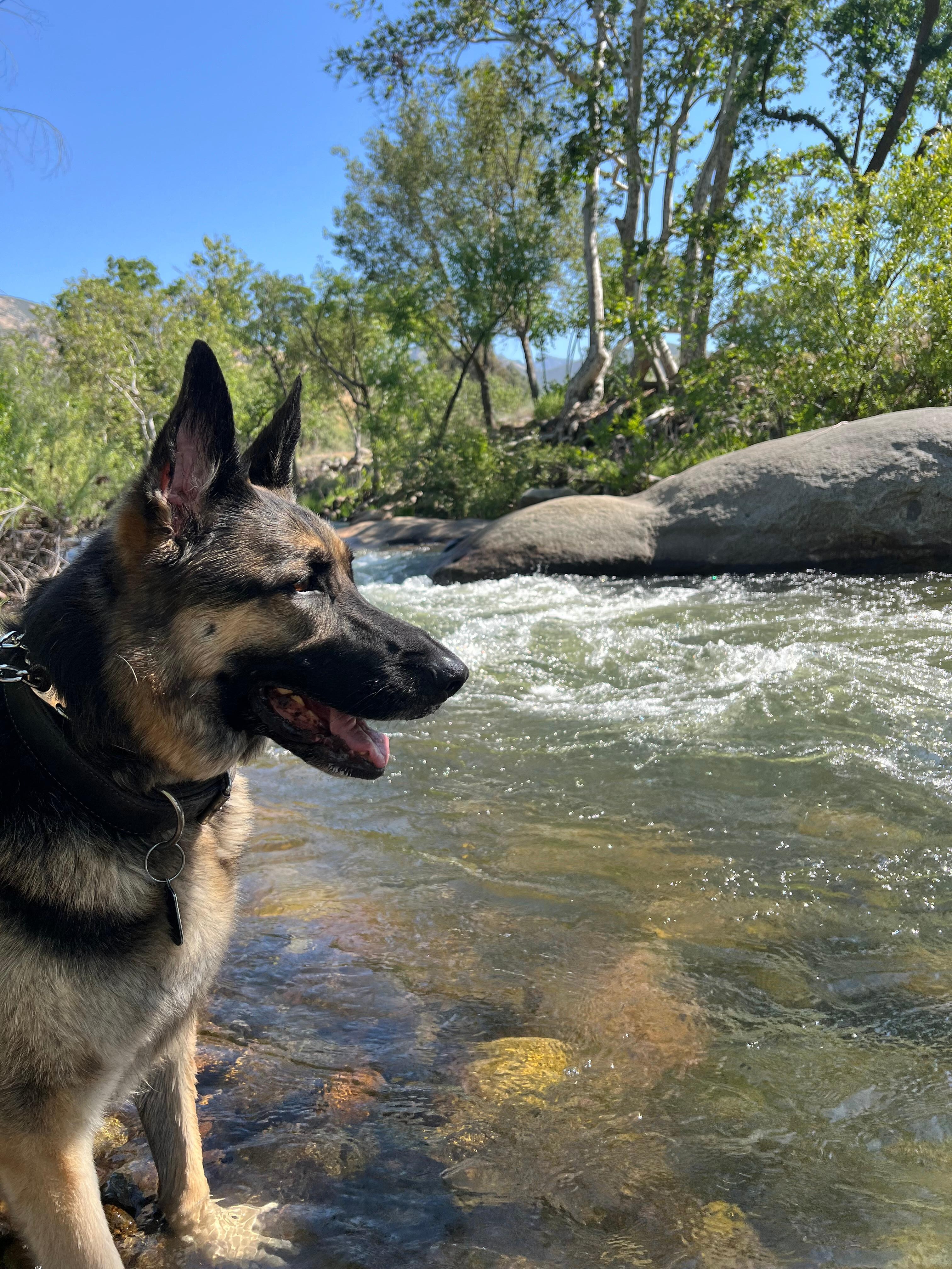 Lala loved the river ❤️
