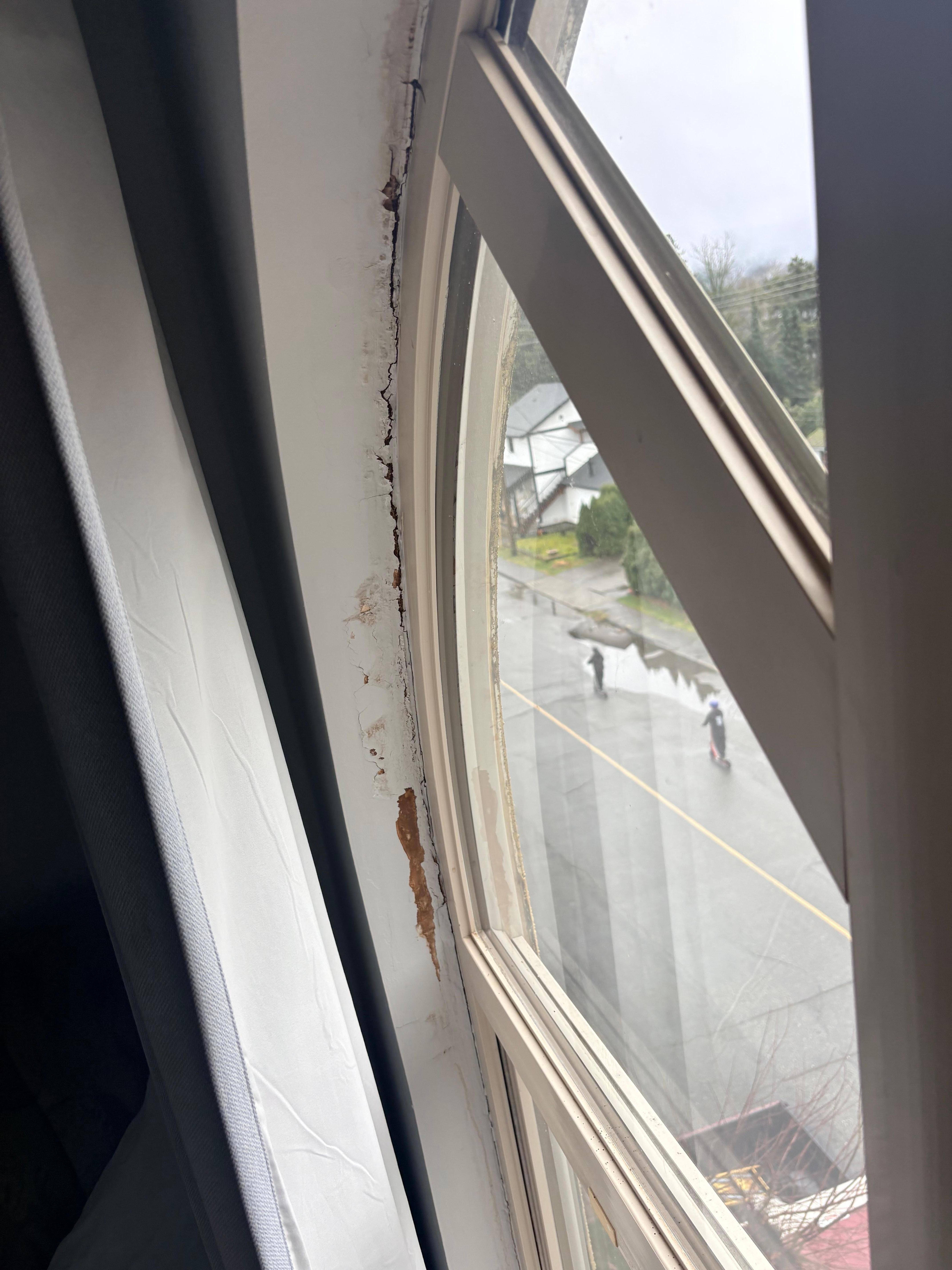 Mould and damage around all windows. 