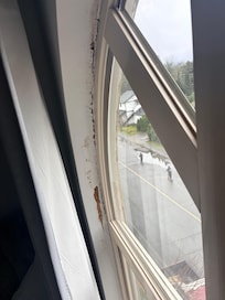 Mould and damage around all windows.