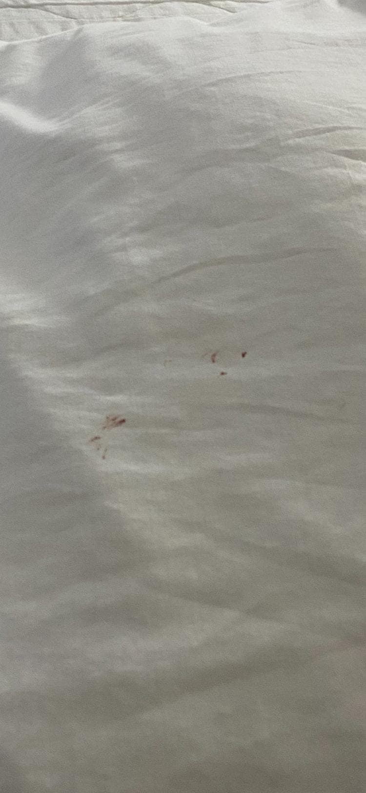 Blood on inside of quilt.