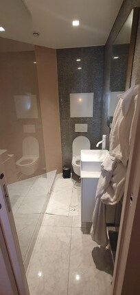 Tiny second bathroom + toilet