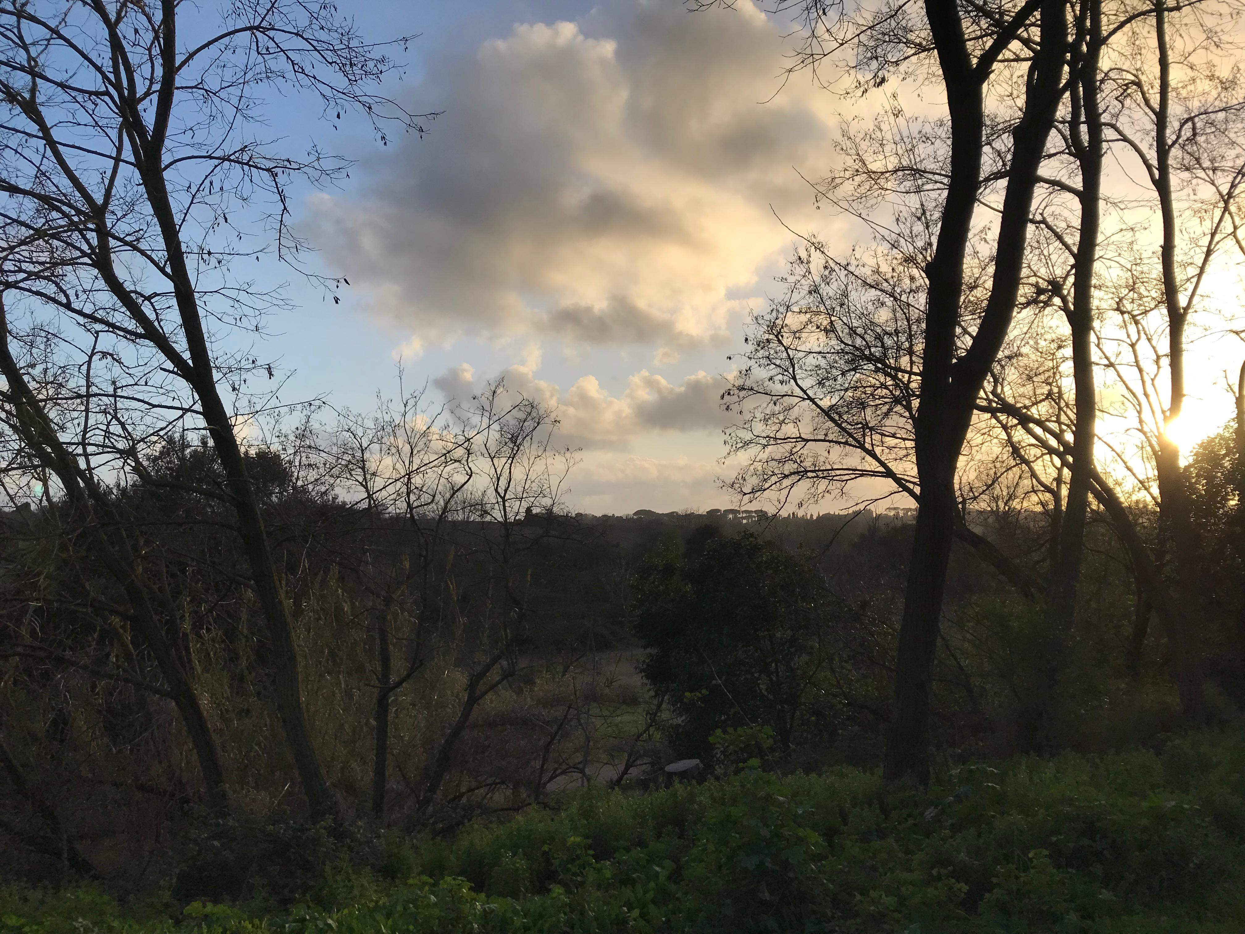 Vue depuis la chambre avec le parc Caffarella