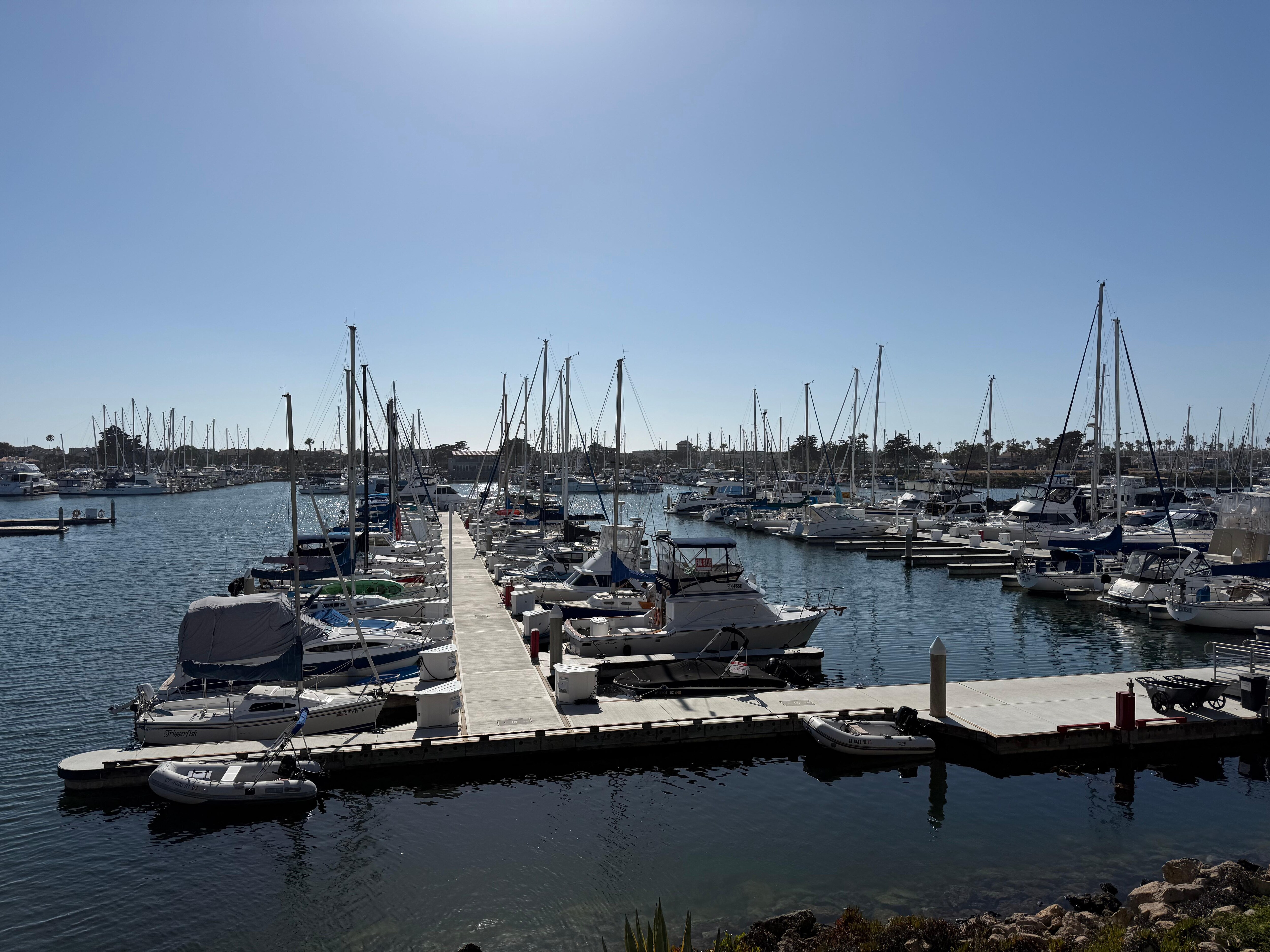 Harbor view