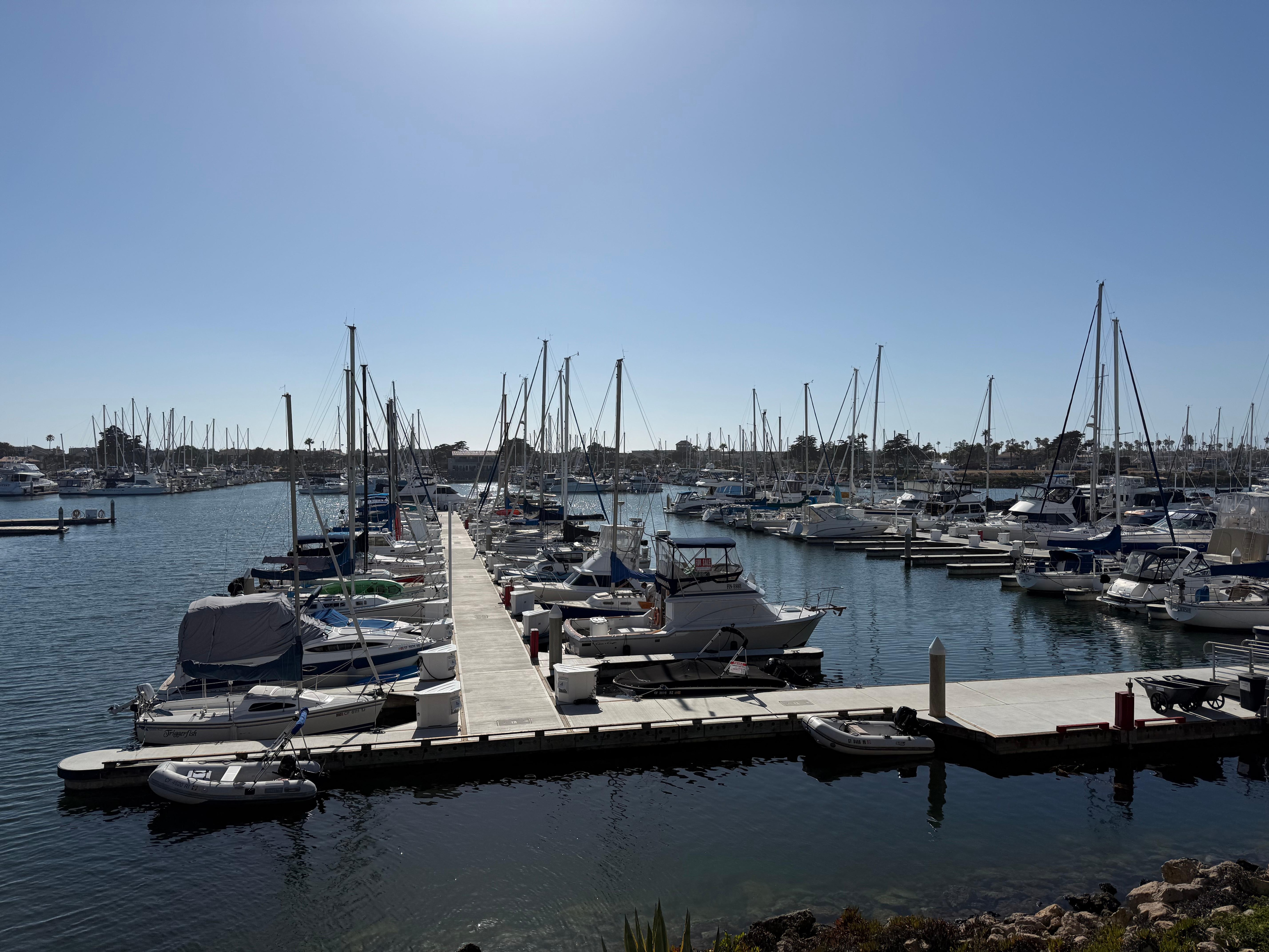 Harbor view