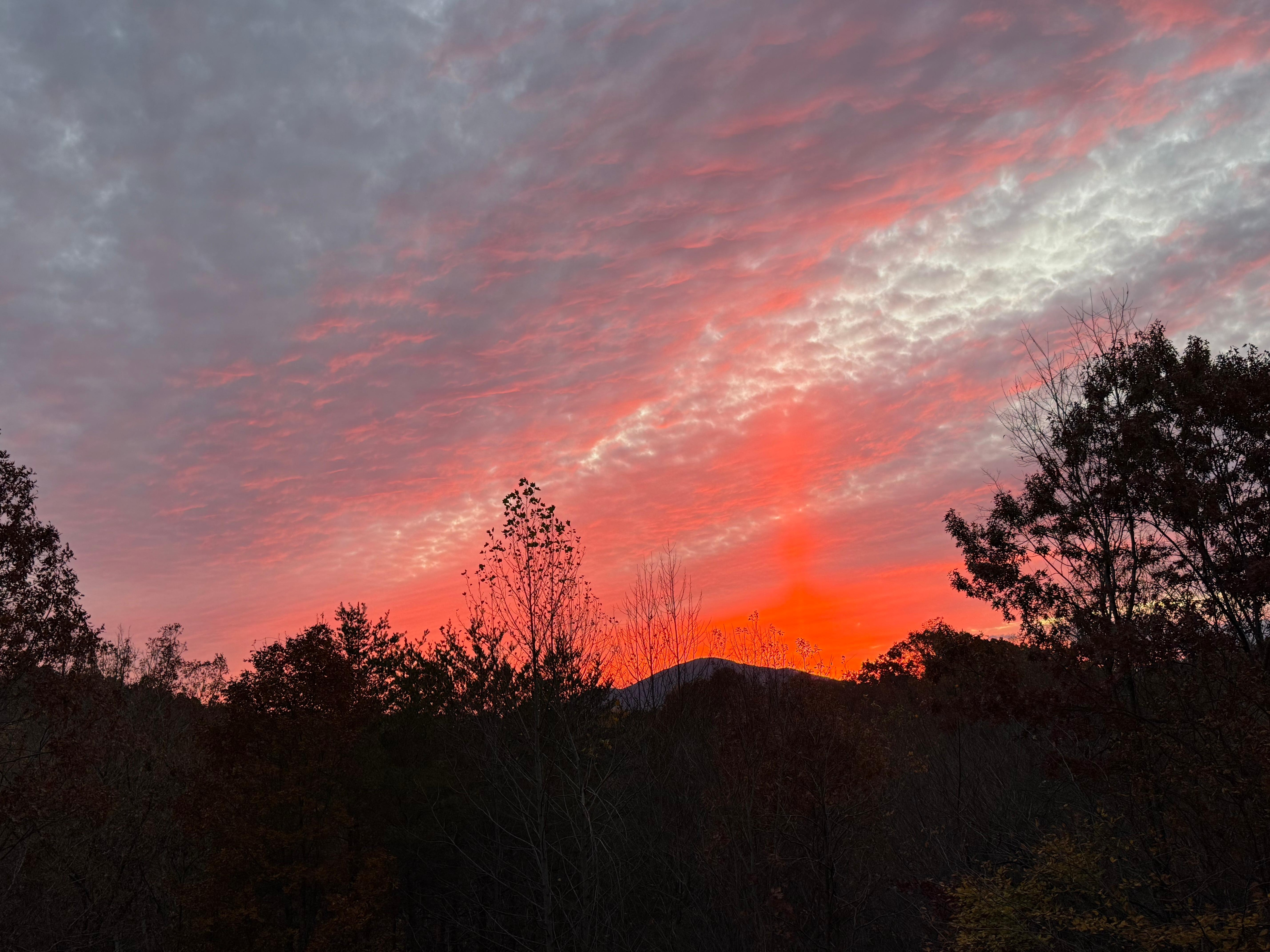 Norther lights from back deck 11/11/25
