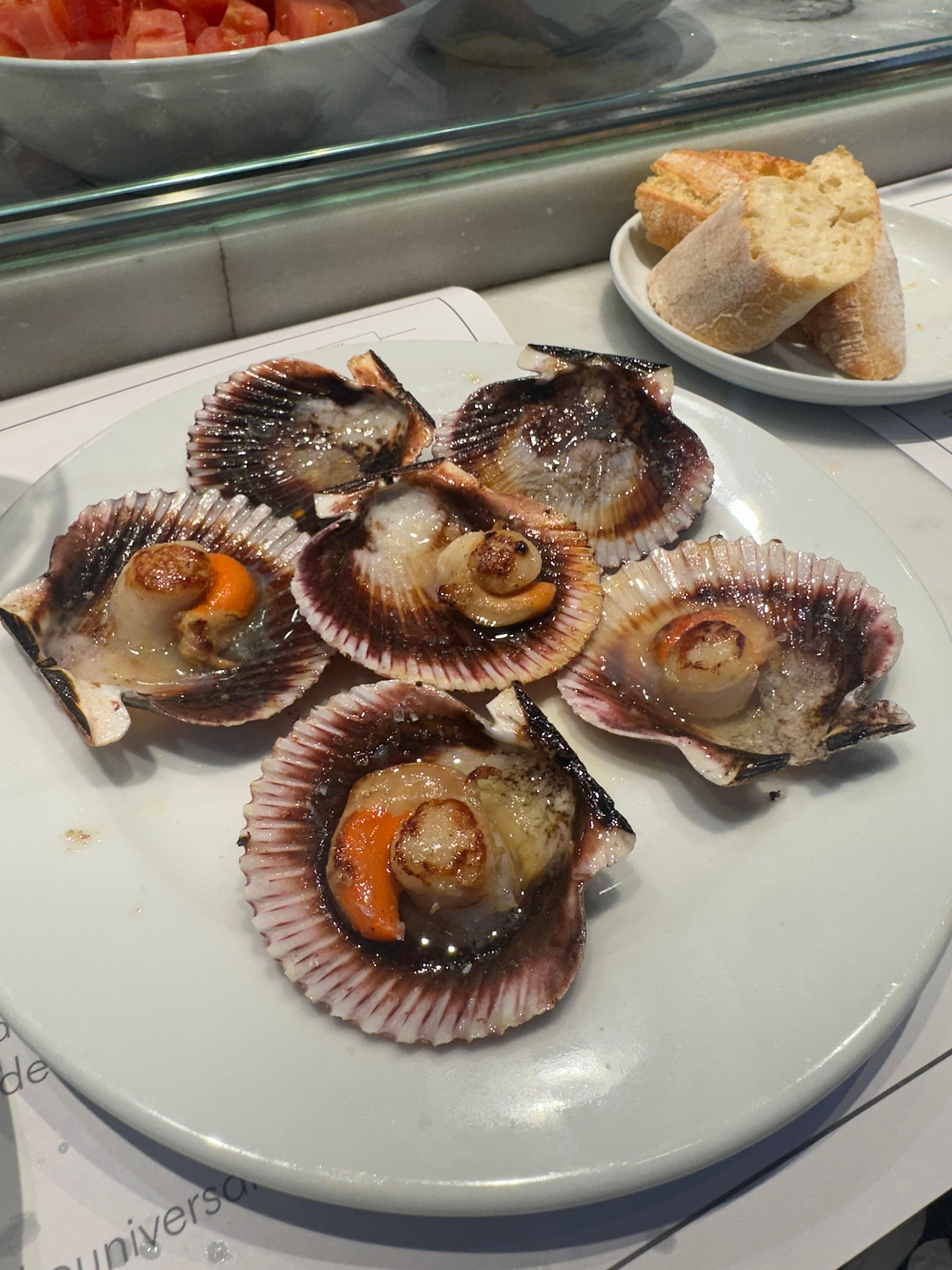 Scallops at local market
