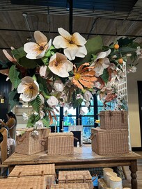 Magnolia