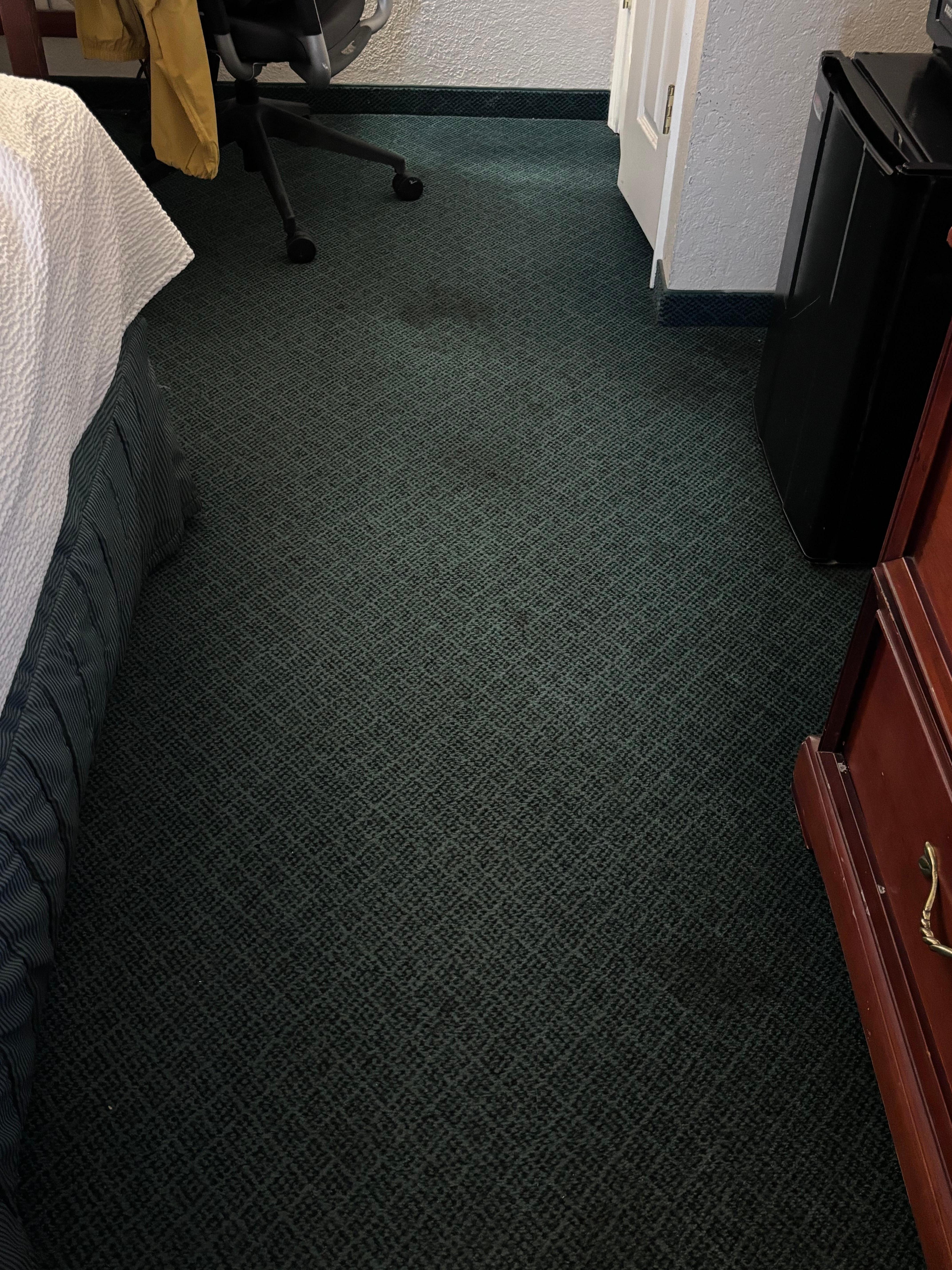 Dirty carpet